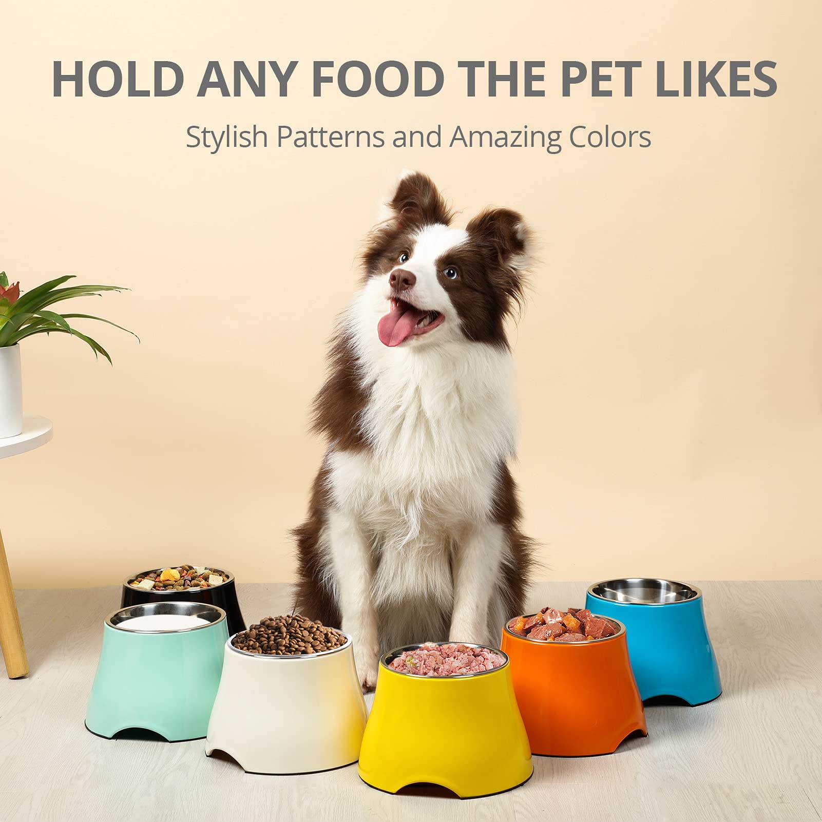 Comedero Elevado Yoken Acero Inoxidable Colorido Antideslizante para Perros Medianos/Pequeños
