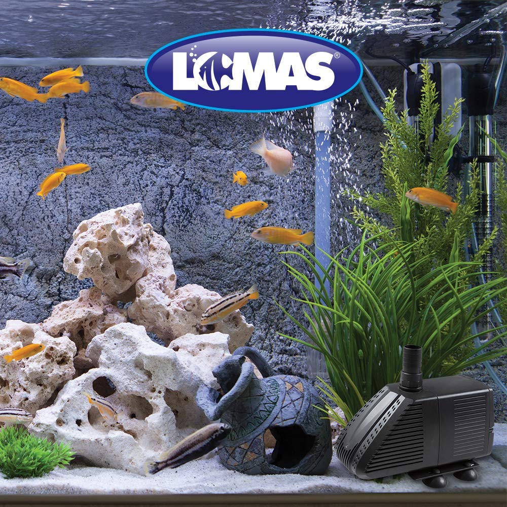 Lomas Bomba para Fuente y Estanque, 3000