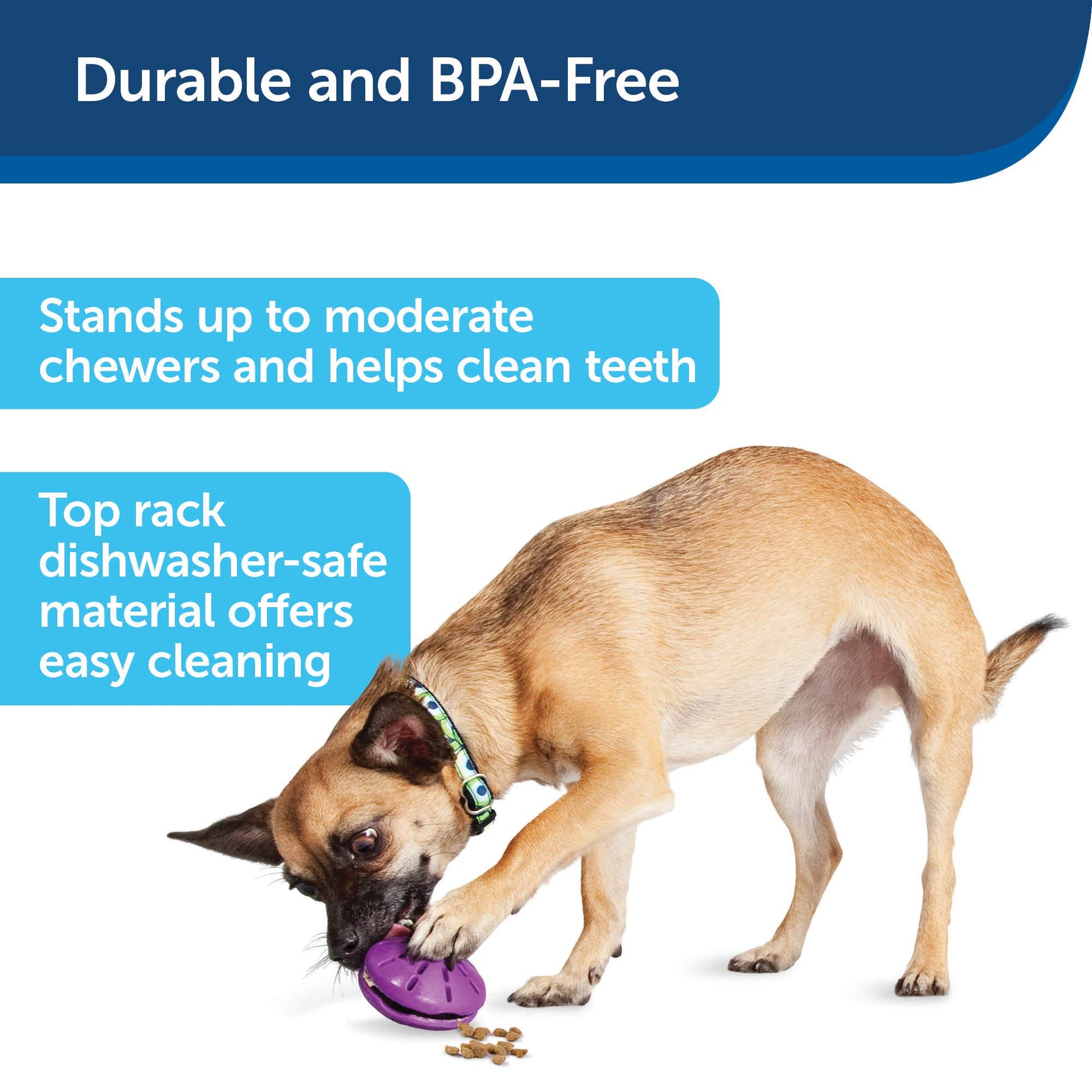 Juguete Dispensador de Dulces PetSafe Púrpura para Perros Pequeños