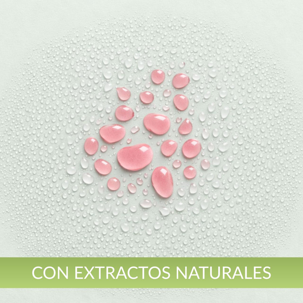 Tónico Capilar Productos Mart Mexico Sangregado Aloe Vera 5 Litros Refresca