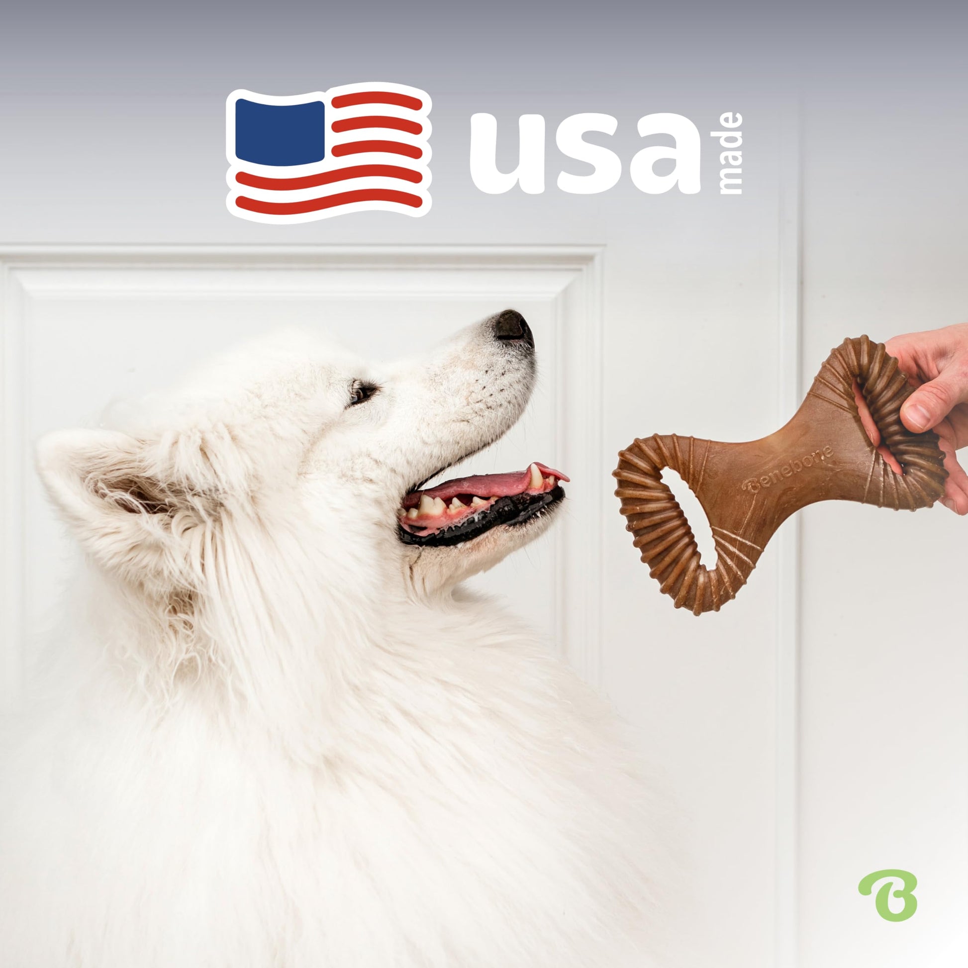 Benebone Dental Dog Chew Toy for Aggressive Chewers, Long Lasting, Made in USA, Small, Real Bacon Flavor