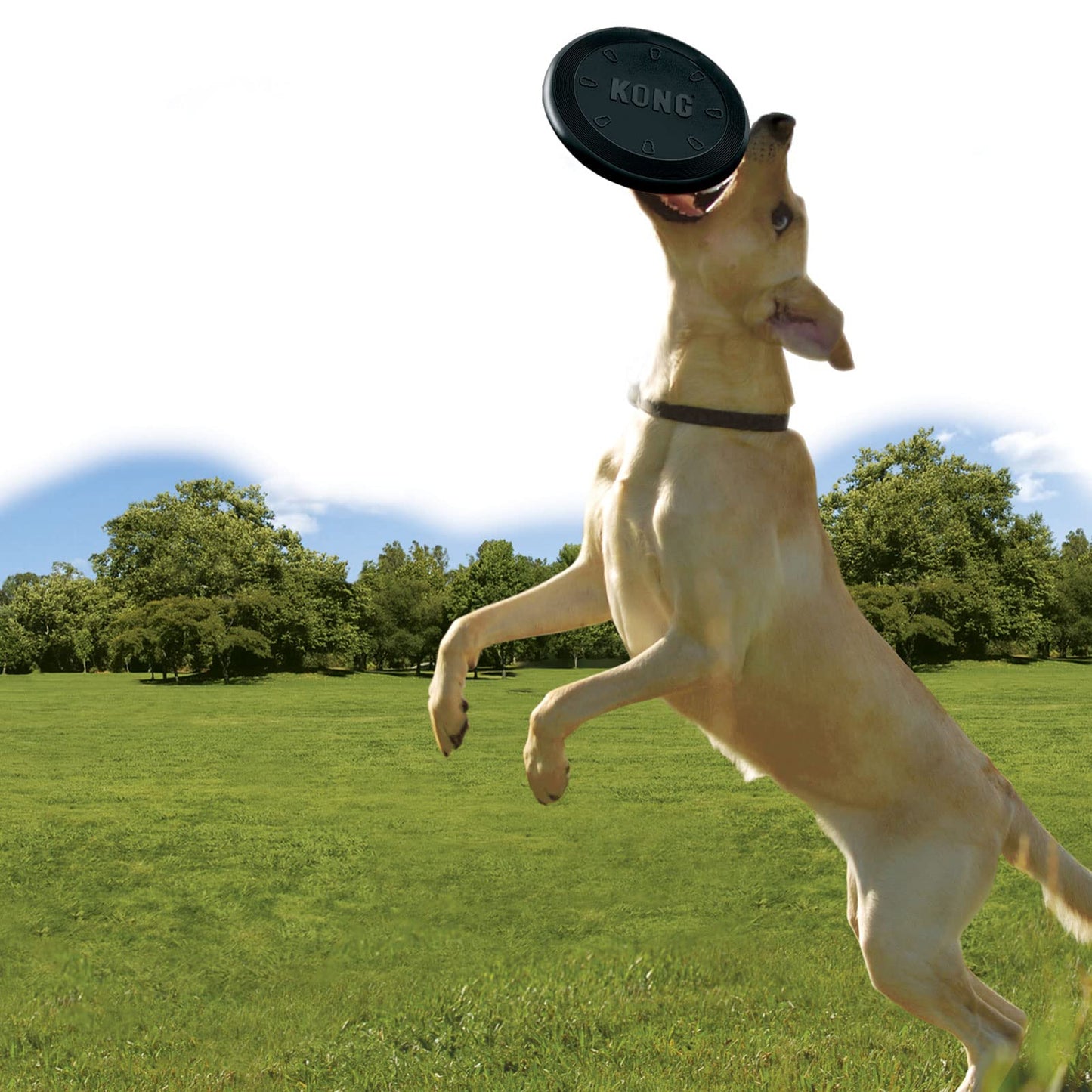 Kong Extreme Flyer Disco de Goma para Perro, Grande, Negro