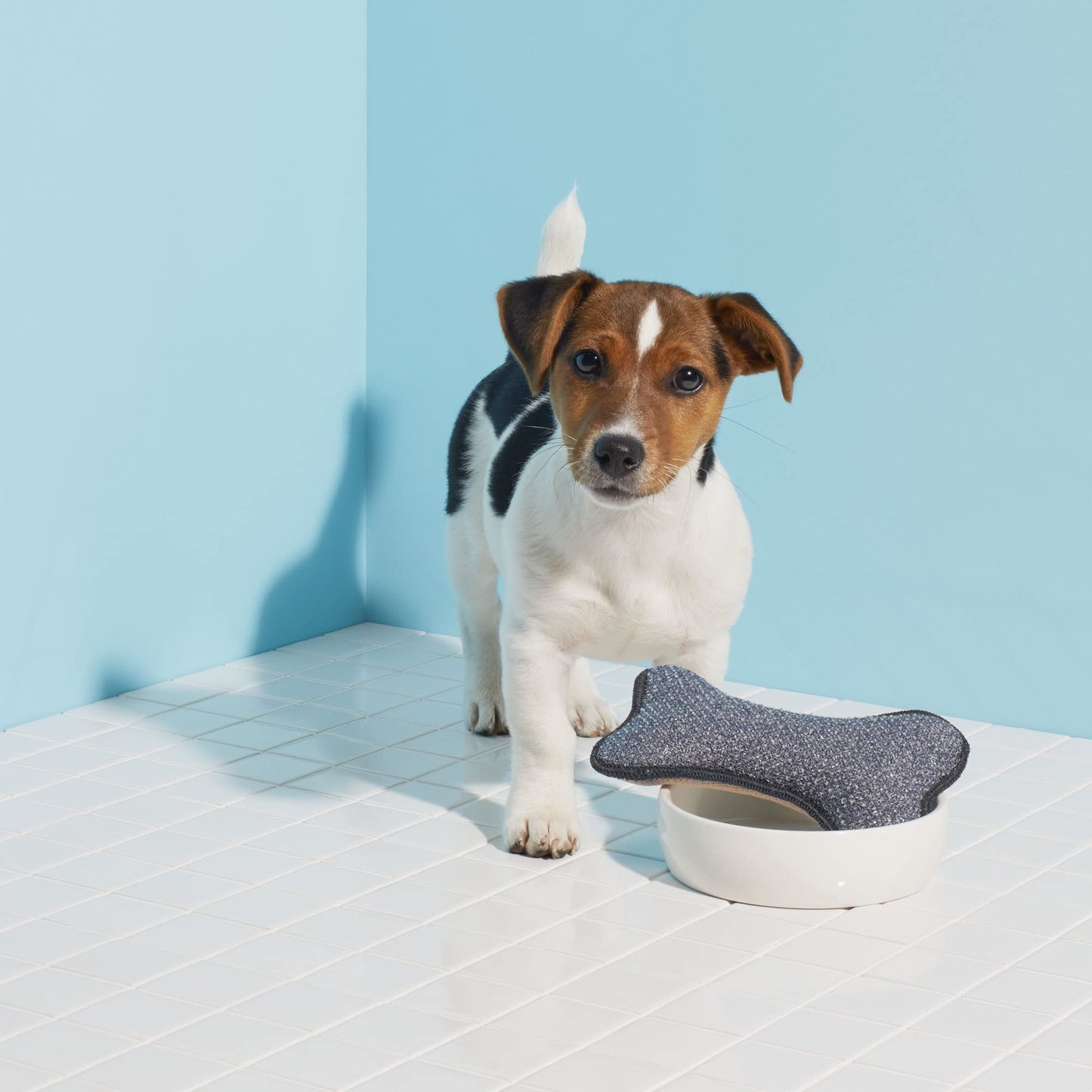 E-Cloth - Depurador de Cuencos para Mascotas, con Forma de Hueso, Reutilizable, 100 Lavados