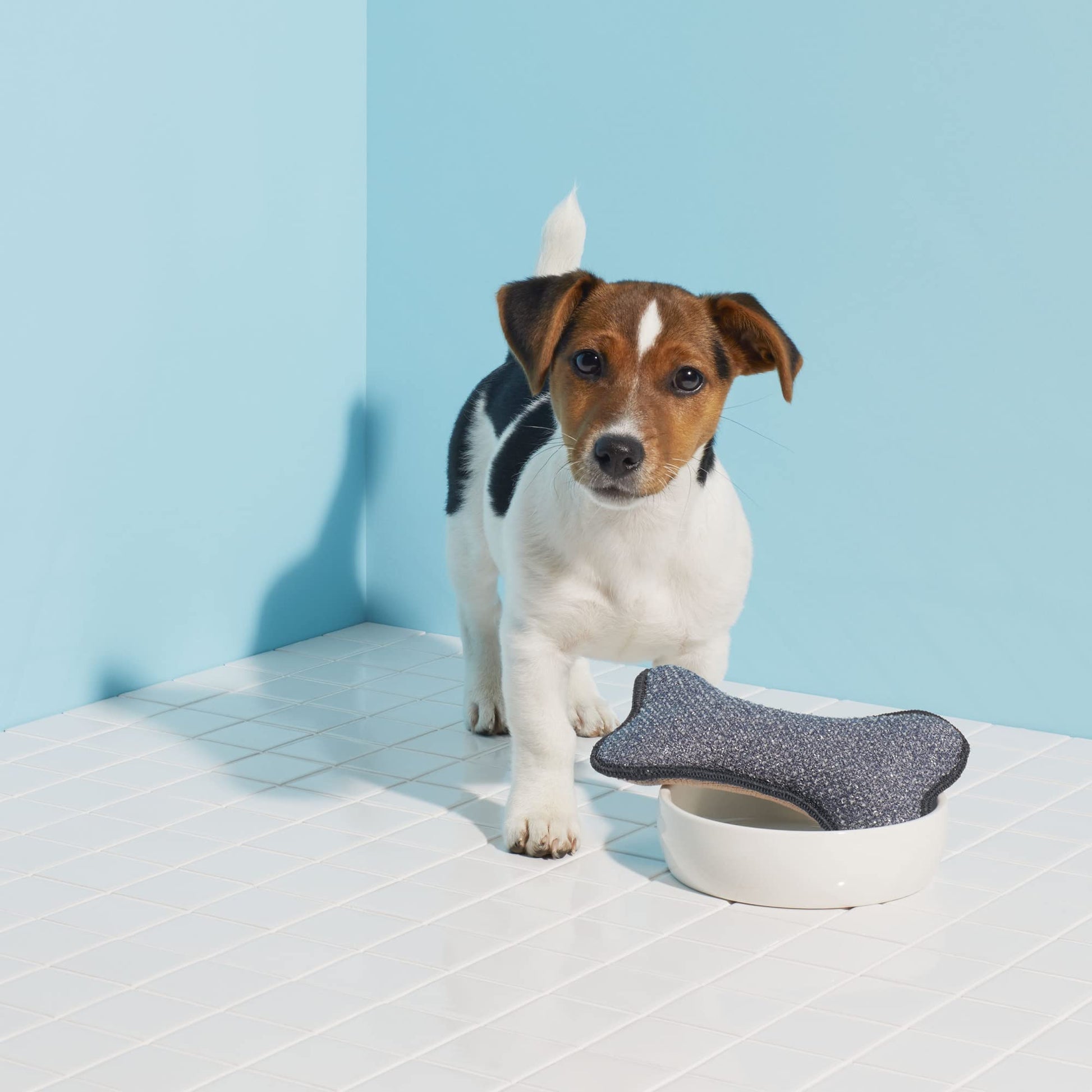 E-Cloth - Depurador de Cuencos para Mascotas, con Forma de Hueso, Reutilizable, 100 Lavados