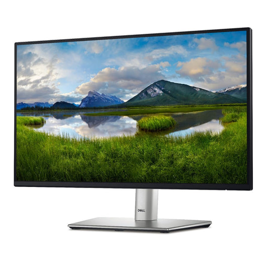 Dell 23,8 Monitor P2425H
