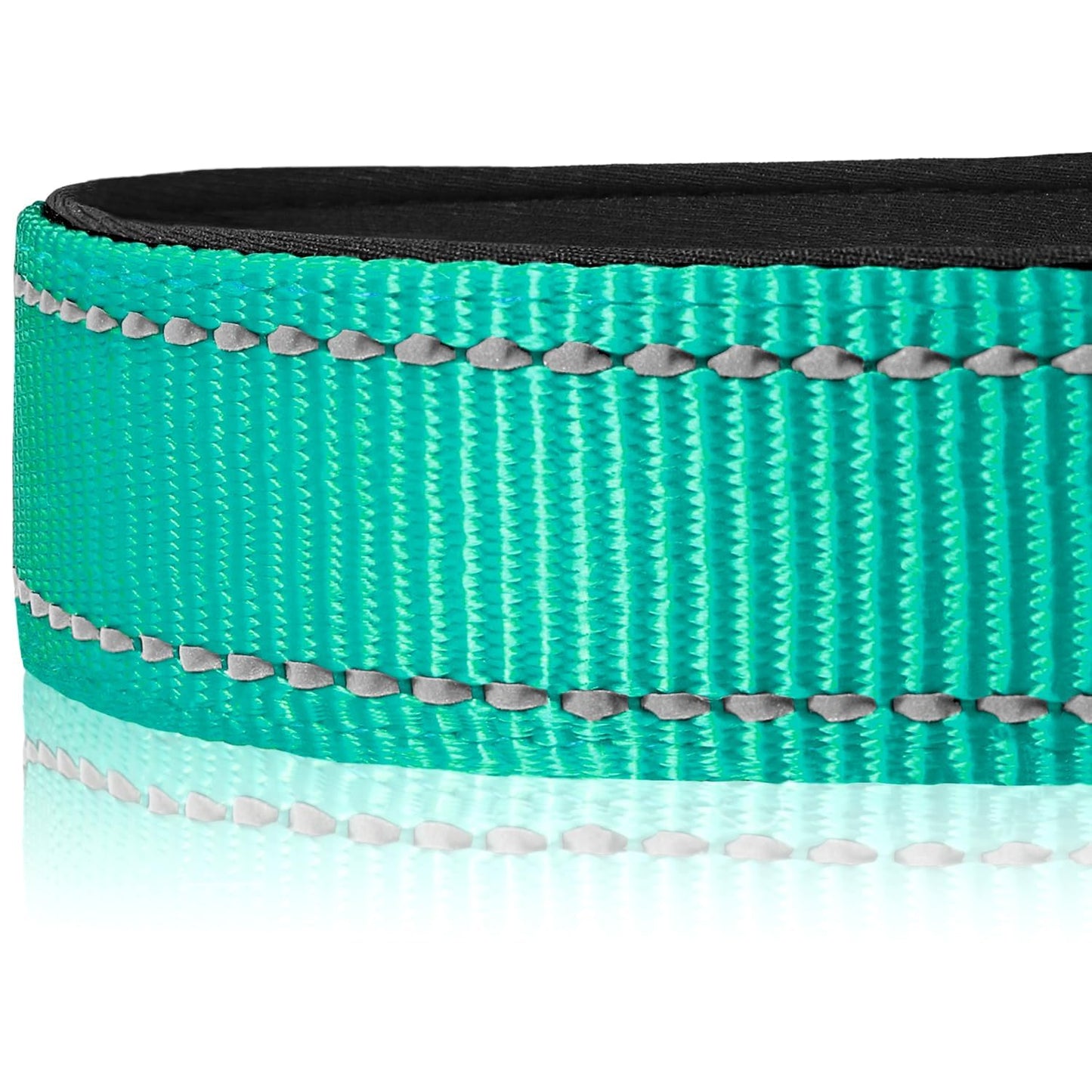 Joytale Collar reflectante para perro, suave de neopreno acolchado transpirable de nailon para mascotas ajustable para perros pequeños, verde azulado, S