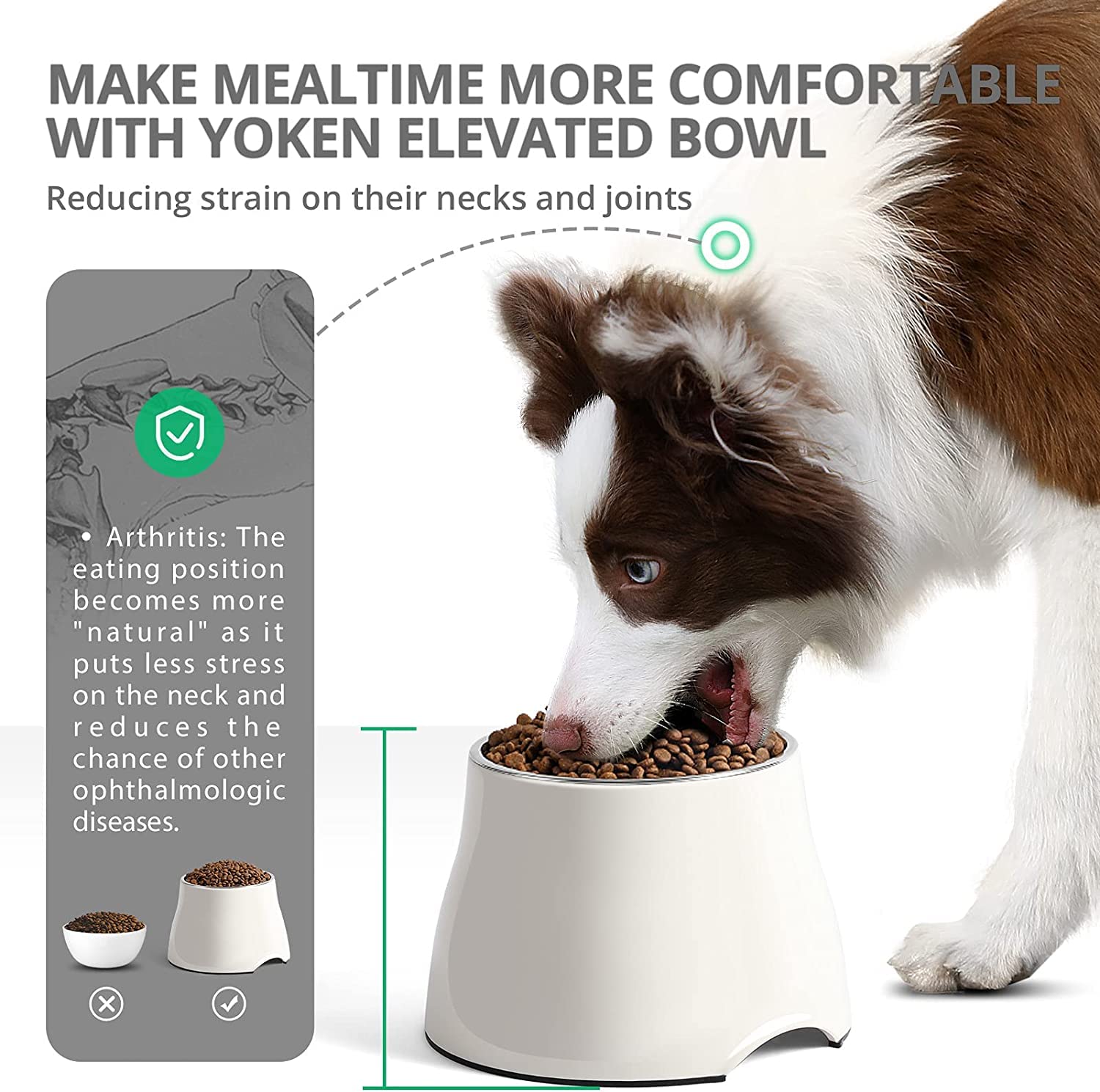 Cuencos Elevados Yoken Coloridos Acero Inoxidable para Perros Medianos