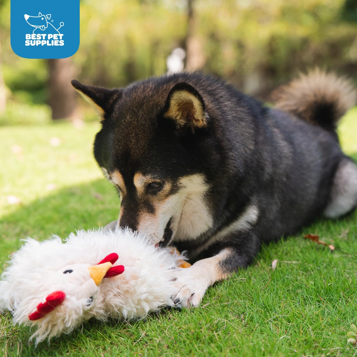 Best Pet Supplies - Juguetes de Peluche para Perros de Pollo Arrugado para Juegos interactivos, Cachorros y Adultos Mayores, Forma de Juguete de Pollo Colorido, Lindo y mimoso, Pollo Arrugado (Beige)