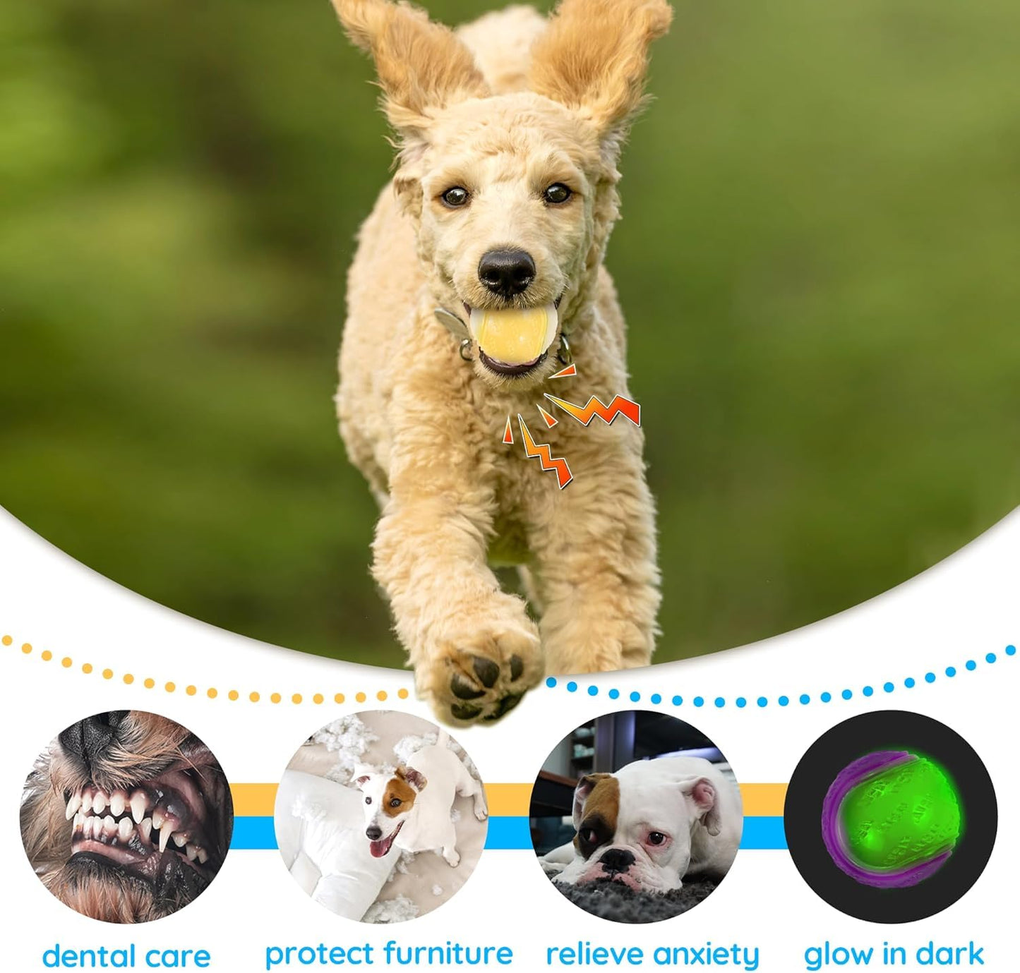 Pelota de Juguete ZHEYU Luminoso Durable para Perros