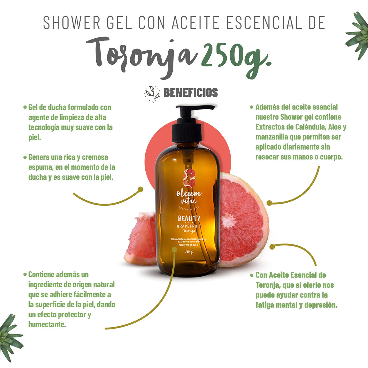 Kit Cuidado de la Piel Oleum Vitae Toronja Hidratación Profunda