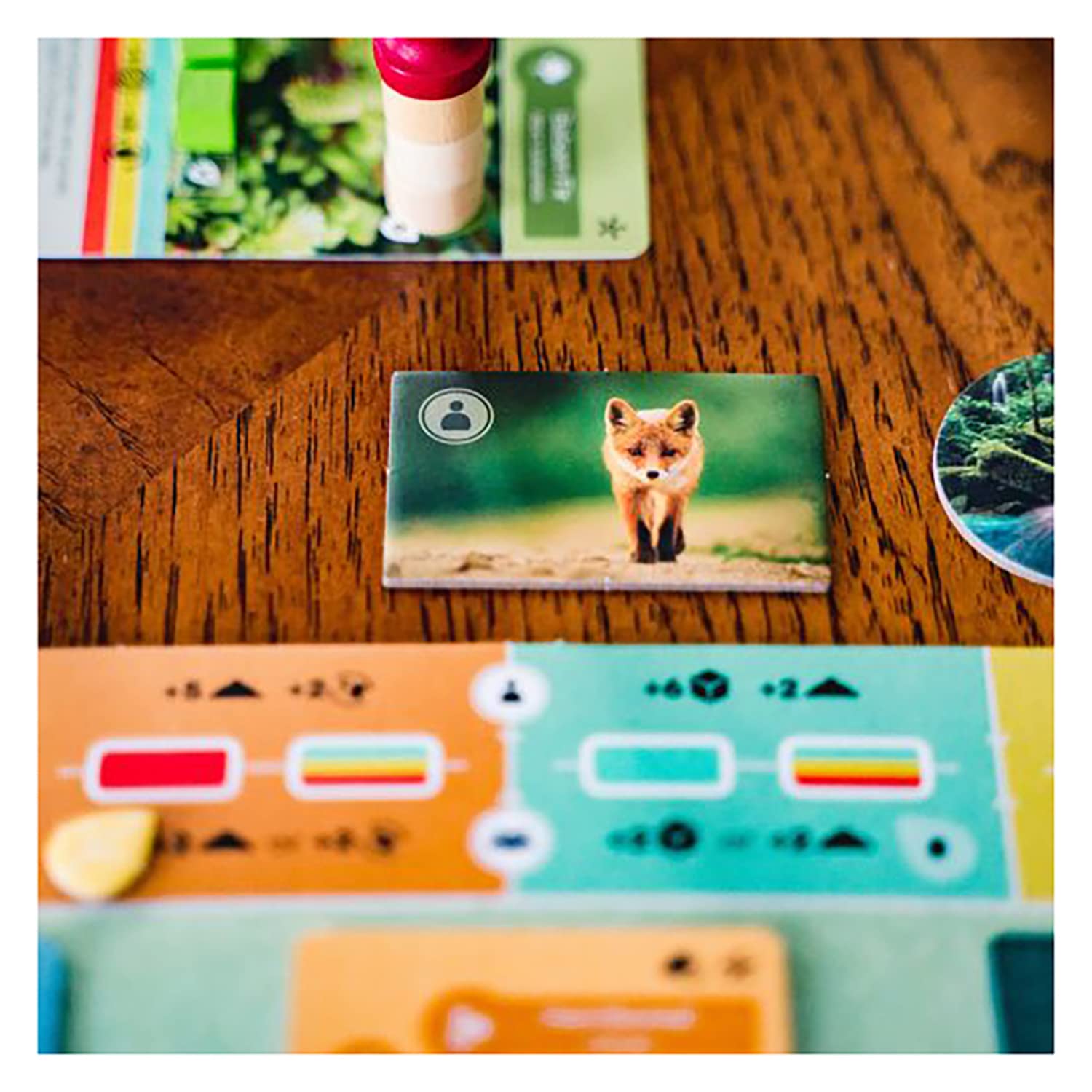 Earth - The Board Game by Inside Up Games & Maxime Tardif, Ecosystem Building, Card Drafting & Action Selecting, for 1 to 5 Players, Play Solo-Multiplayer-Teams, 45-90 Minute Playing Time