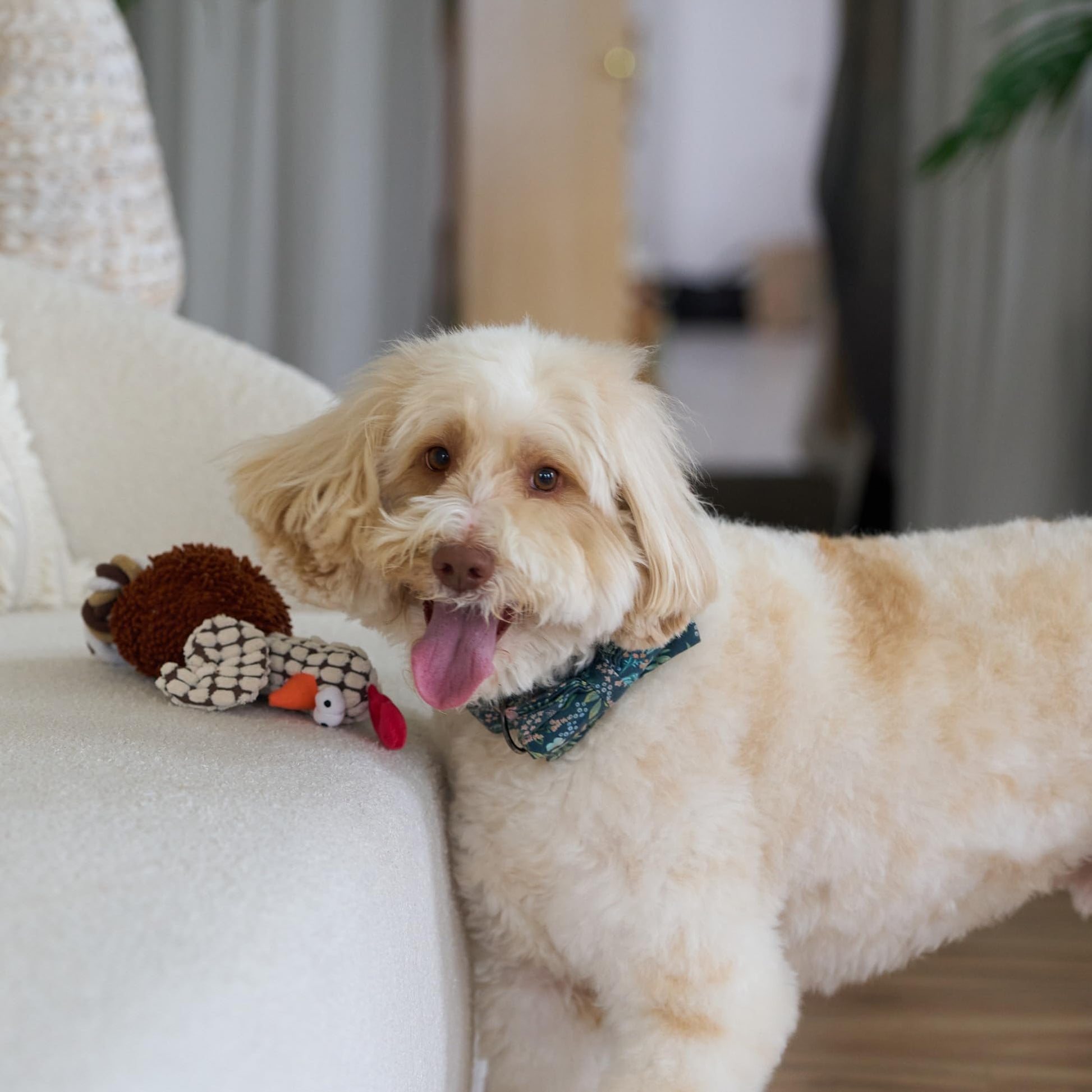 Juguete para Perros Ethical Pets Pollo Gigglers Multicolor