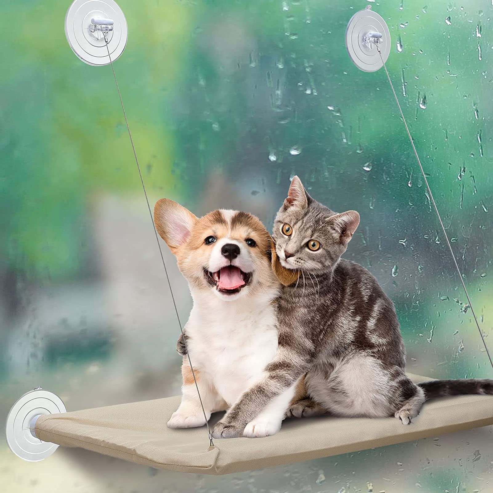 TYTOGE - Ventosas de repuesto para cama de gato, ventosa para ventana de gato, hamaca