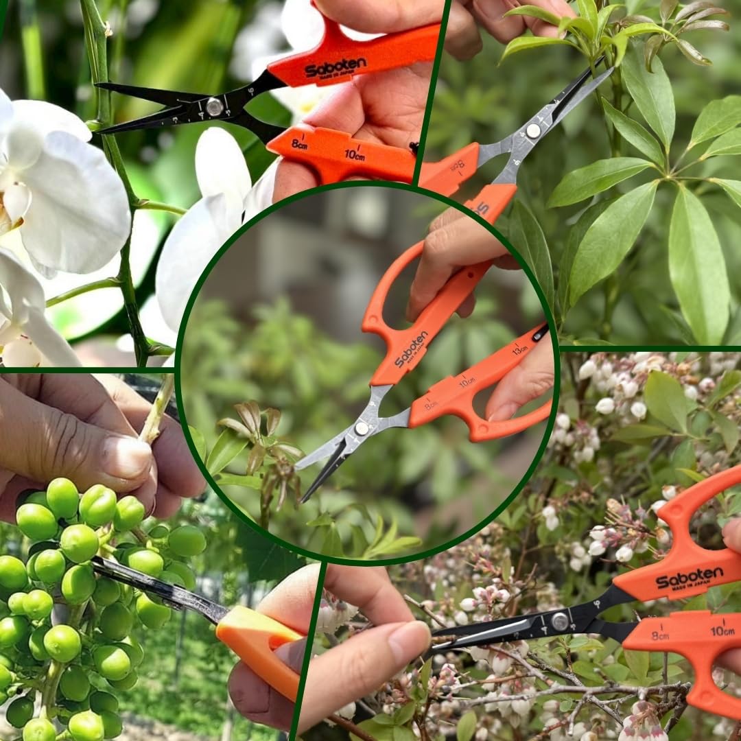 Saboten Tijeras de Cosecha Automáticas 6.3" – Hoja Curva de Punta Fina, Acción Magnética sin Resorte, Acero Inoxidable con Flúor, Mango Ergonómico – forest Originals, Hechas en Japón