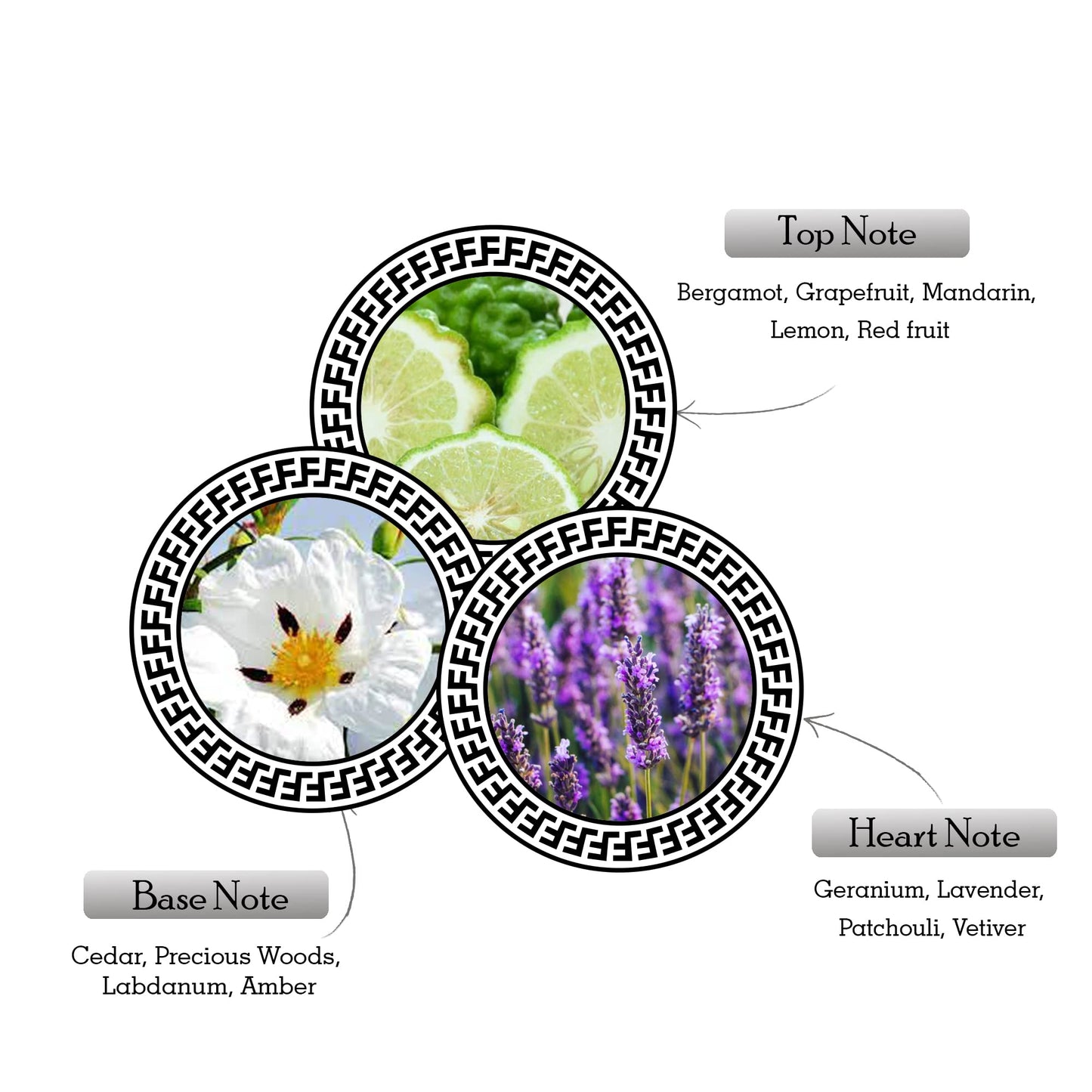 Perfume Armaf Ventana en Spray para Hombre 3.4 Ounce