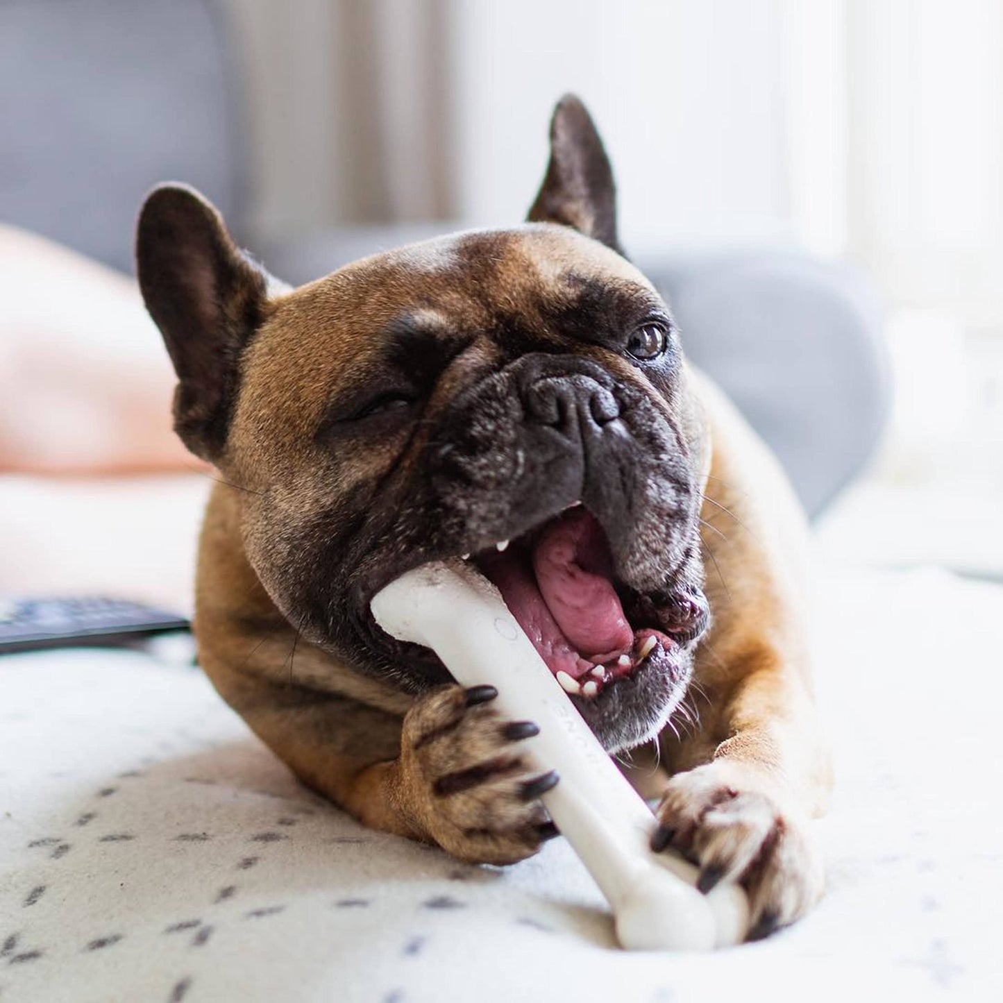 Juguete para Perros Nylabone Dura Chew Sabor Pollo