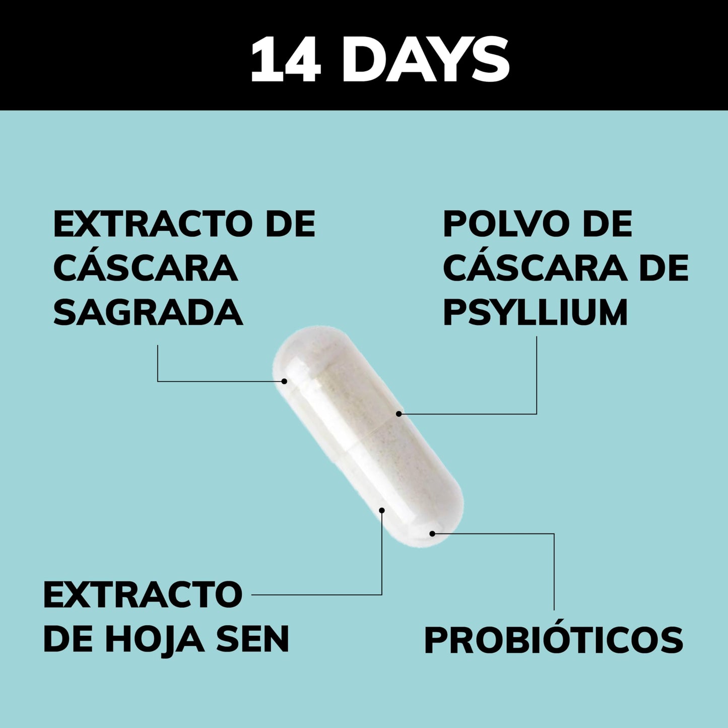 Beyond Vitamins | 14 Days | Avanzado para Hombres y Mujeres con Cascara Sagrada, Psyllium Husk, Hoja Sen & Probióticos | Vegano | 28 Capsules 1-2 cápsulas por día