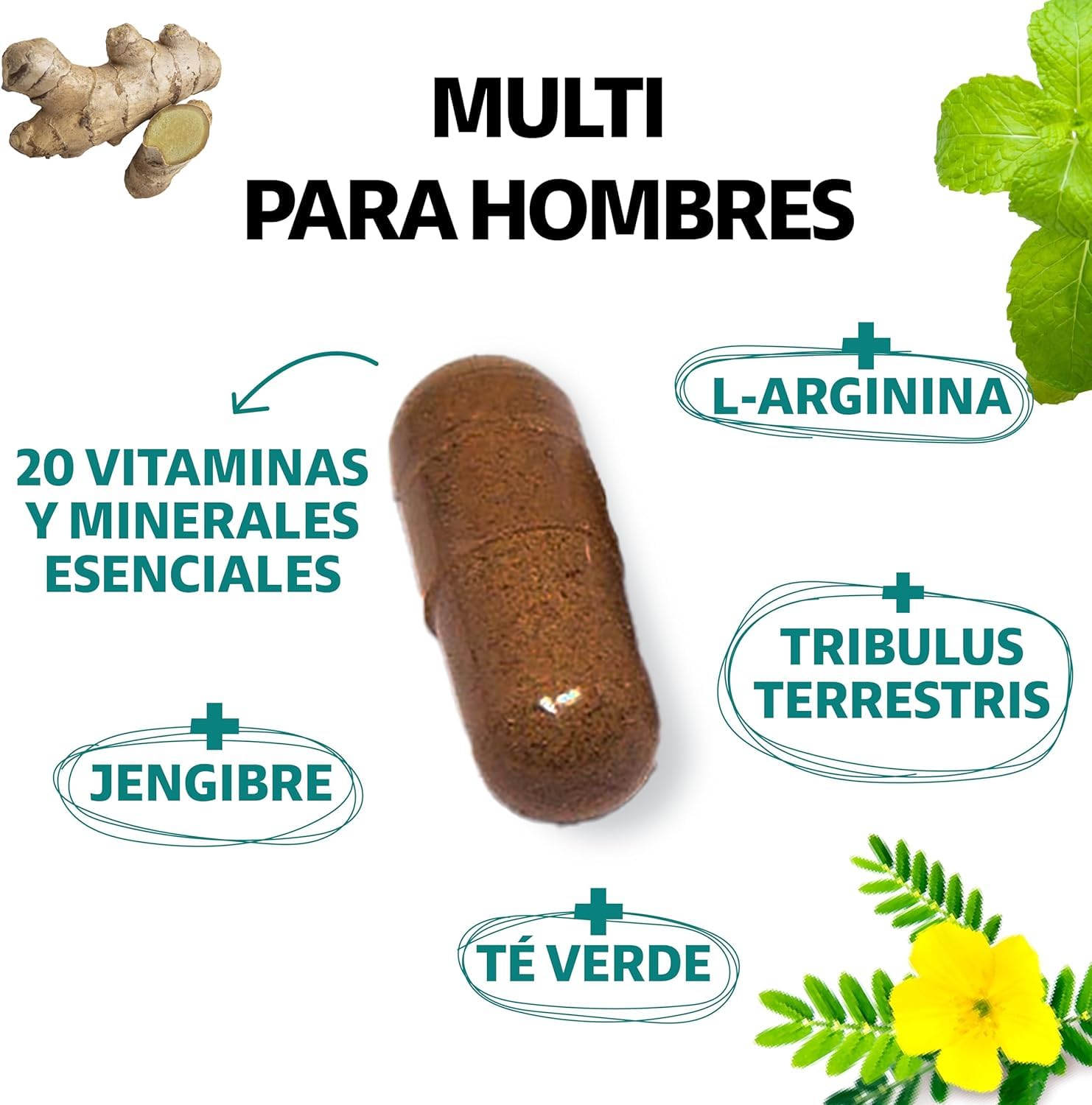 Multivitaminas para Hombre Vitaminas A B C D3 E K1 Zinc Calcio Hierro Cobre Tribulus Terrestris Jengibre 150 Cápsulas