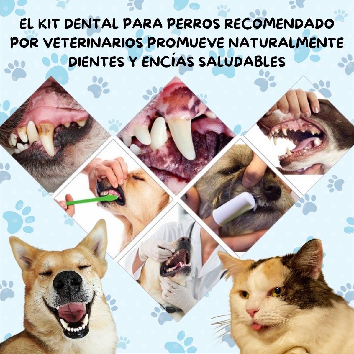Kit Dental VERALY.MX Limpieza Profunda Mascota Perro Pasta y Cepillo Doble Dedal Silicona Flexible