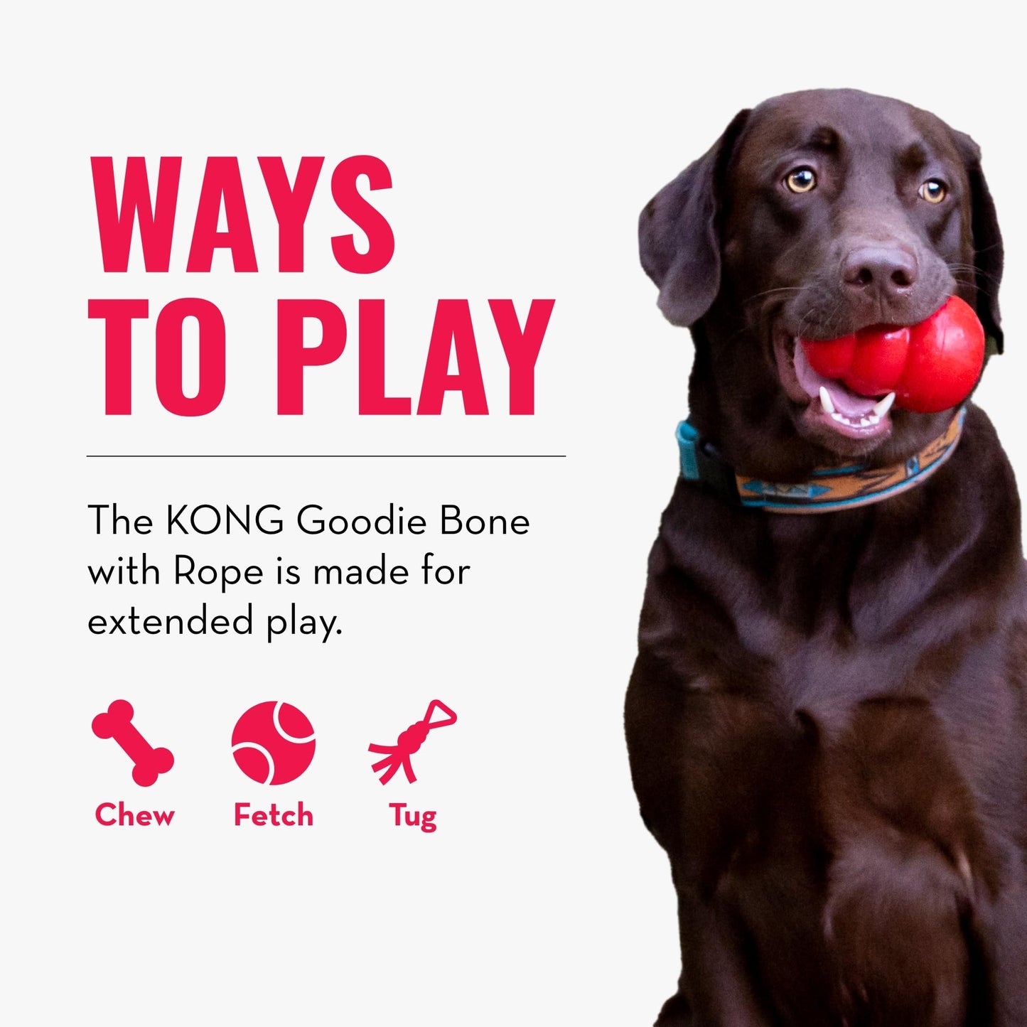 KONG Goodie Bone with Rope Dog Toy, Rojo, XS