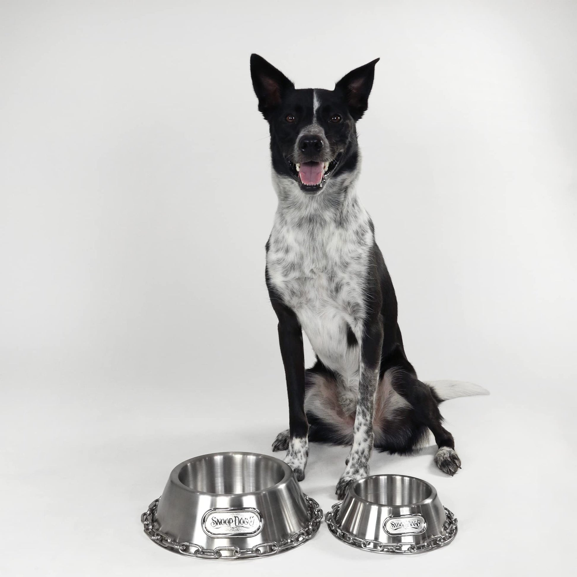 Tazón para Mascotas Snoop Doggie Doggs Acero Deluxe pequeño