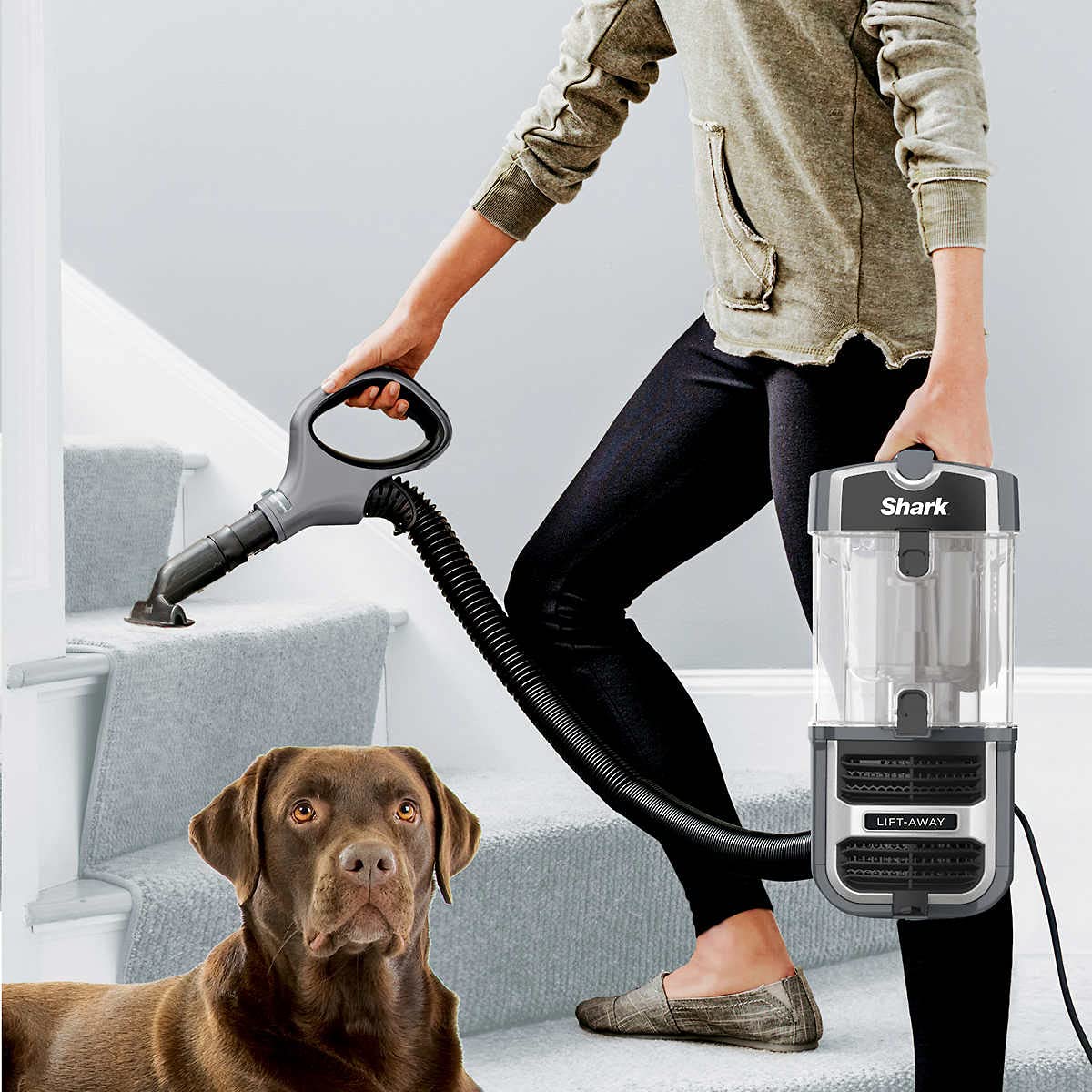 Aspiradora Vertical Shark Navigator Lift-Away UV725 con Cepillo Autolimpiable y Filtro HEPA Renovado