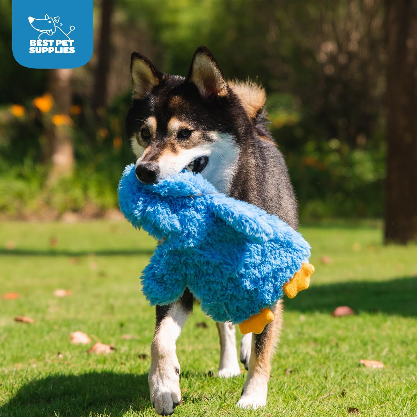 Best Pet Supplies - Juguetes de Peluche para Perros de Pollo Arrugado para Juegos interactivos, Cachorros y Adultos Mayores, Forma de Juguete de Pollo Colorido, Lindo y mimoso, Pollo Arrugado (Azul)
