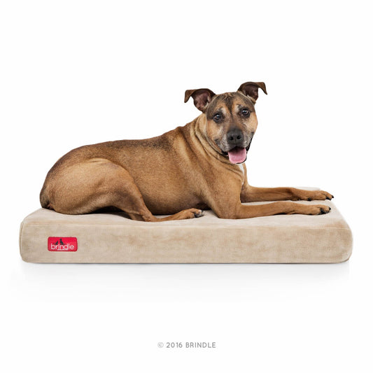 Cama para perro ortopédica de Memory Foam de 10 cm Brindle: cubierta de velvetón extraíble con lino impermeable, tamaño grande, color caqui, 117 x 71 cm