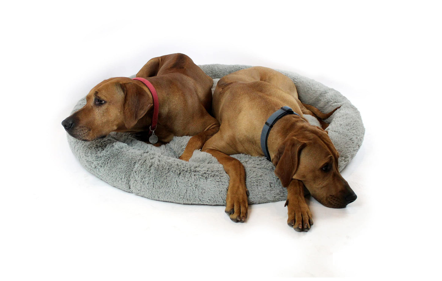 Cama para Perro Hills Gris Tipo Dona Anti Estrés XX-Large