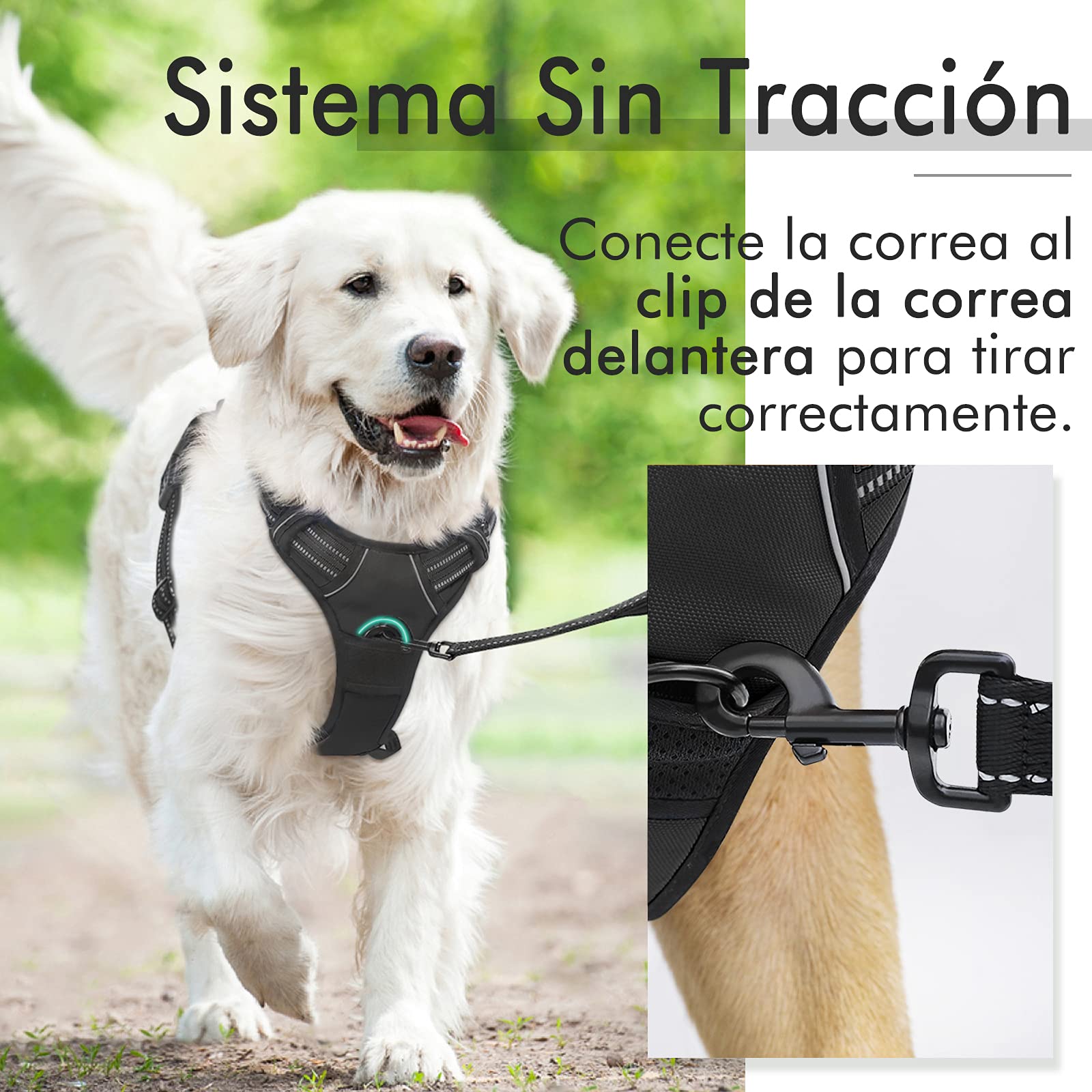 Arnés para Perro Rabbitgoo Negro XL con Líneas Reflectantes y Chaleco Acolchado Ajustable