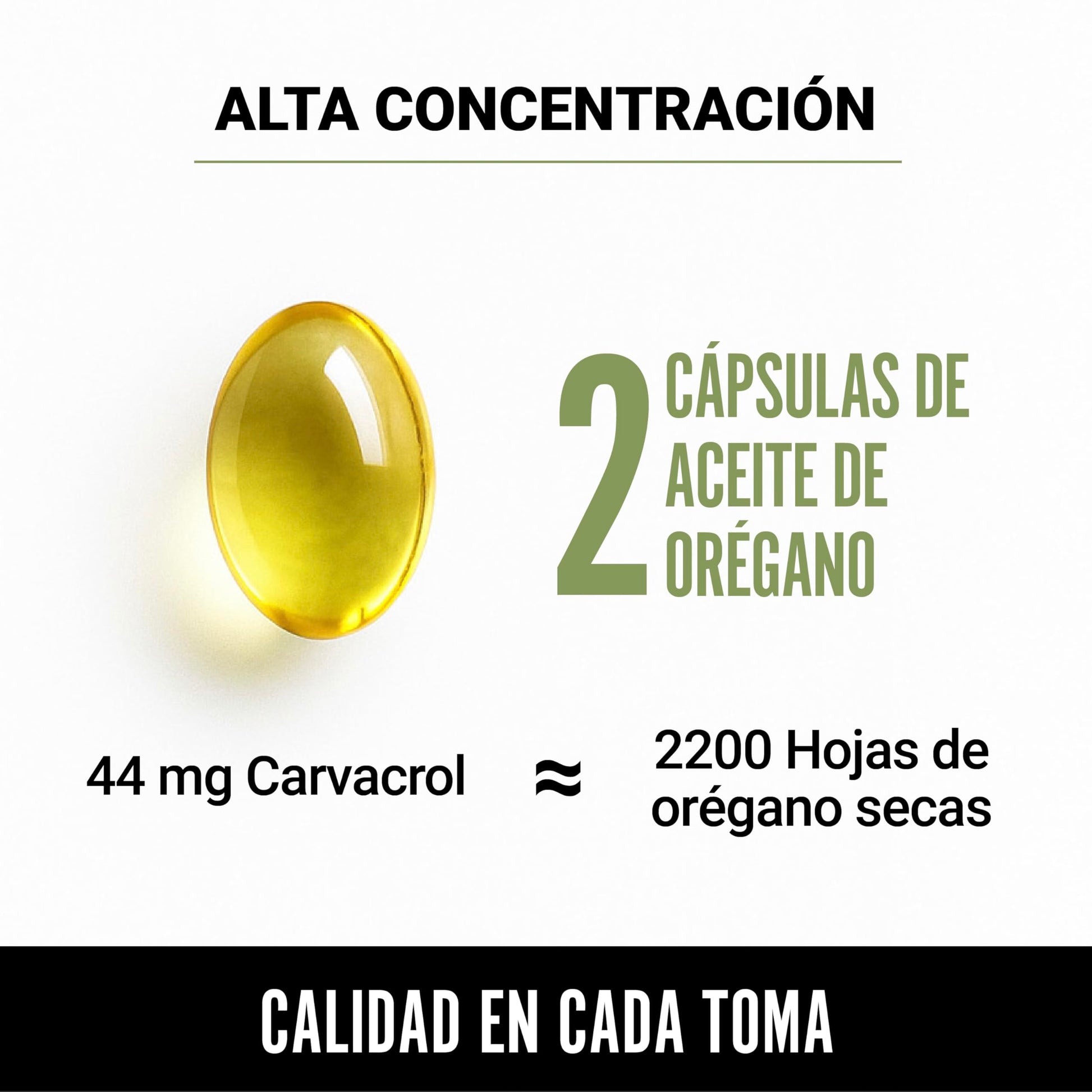 Beyond Vitamins | Aceite de Oregano Orgánico 100% Natural con 88% Carvacrol Candida | Oil of Oregano Grado Alimenticio (60 Caps)