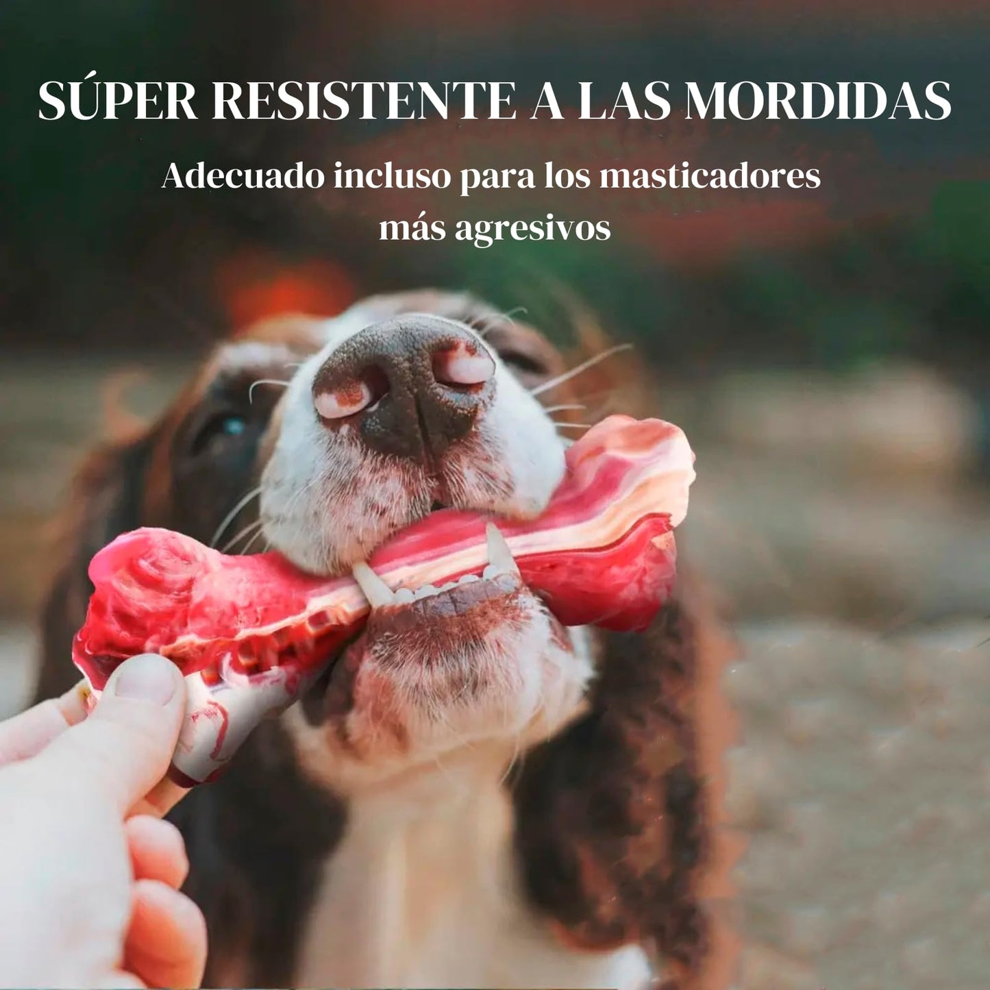 Genérico Juguetes para Perros Fuertes y agresivos Juguetes para Perros destructores Hueso para masticadores agresivos Juguetes para aliviar ansiedad de Perros Juguetes para Perros ansiosos Grandes