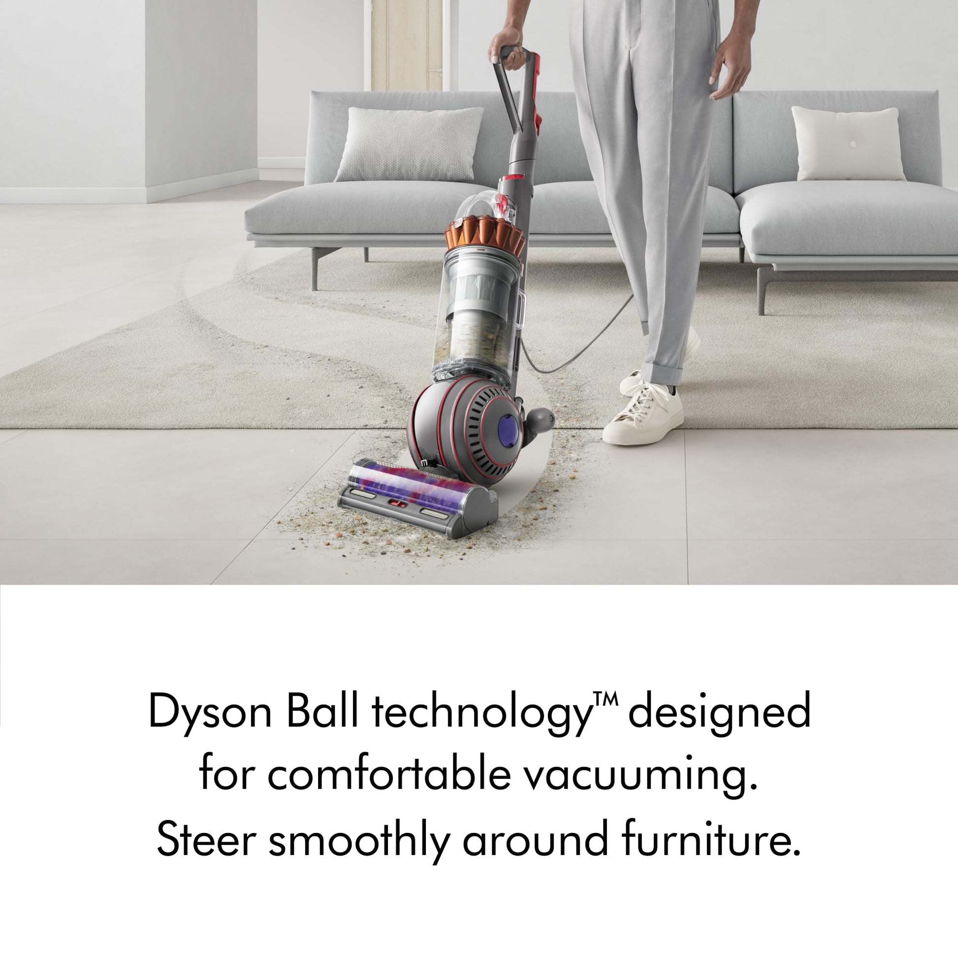 Dyson Ball Animal 3 Aspiradora Vertical Extra