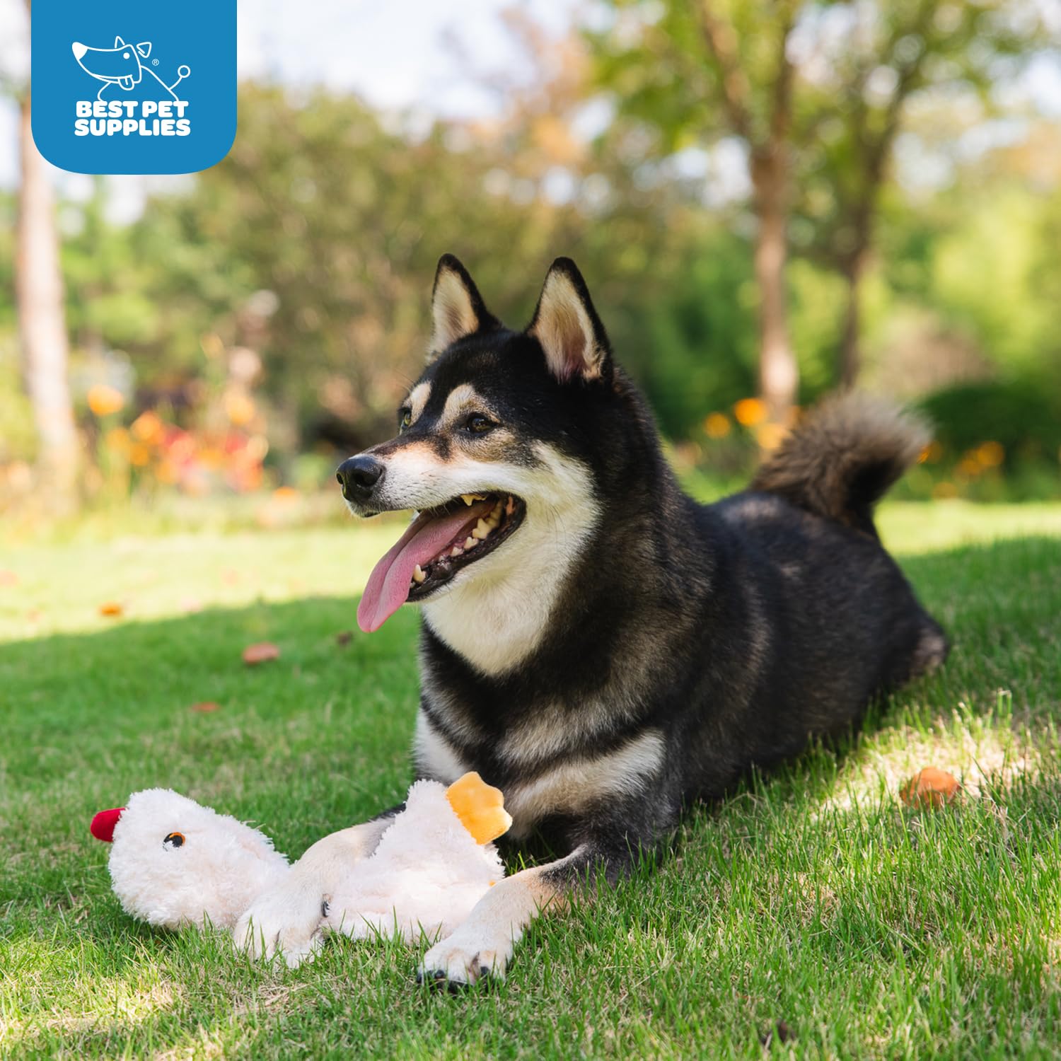 Best Pet Supplies - Juguetes de Peluche para Perros de Pollo Arrugado para Juegos interactivos, Cachorros y Adultos Mayores, Forma de Juguete de Pollo Colorido, Lindo y mimoso, Pollo Arrugado (Crema)