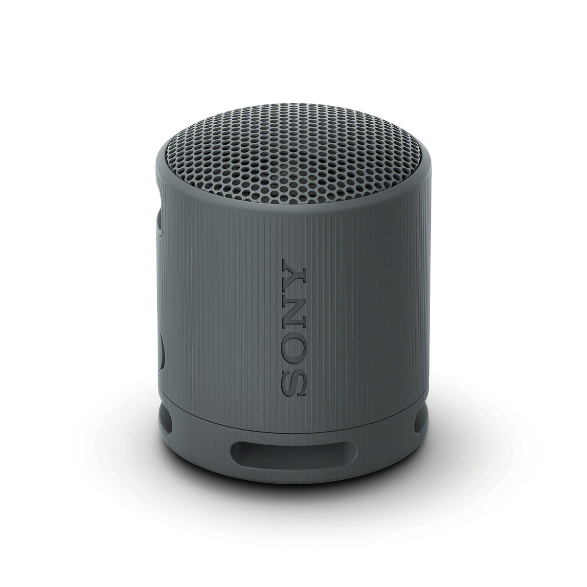 Bocina Inalámbrica Sony XB100 Gris Sonido Potente Reacondicionada