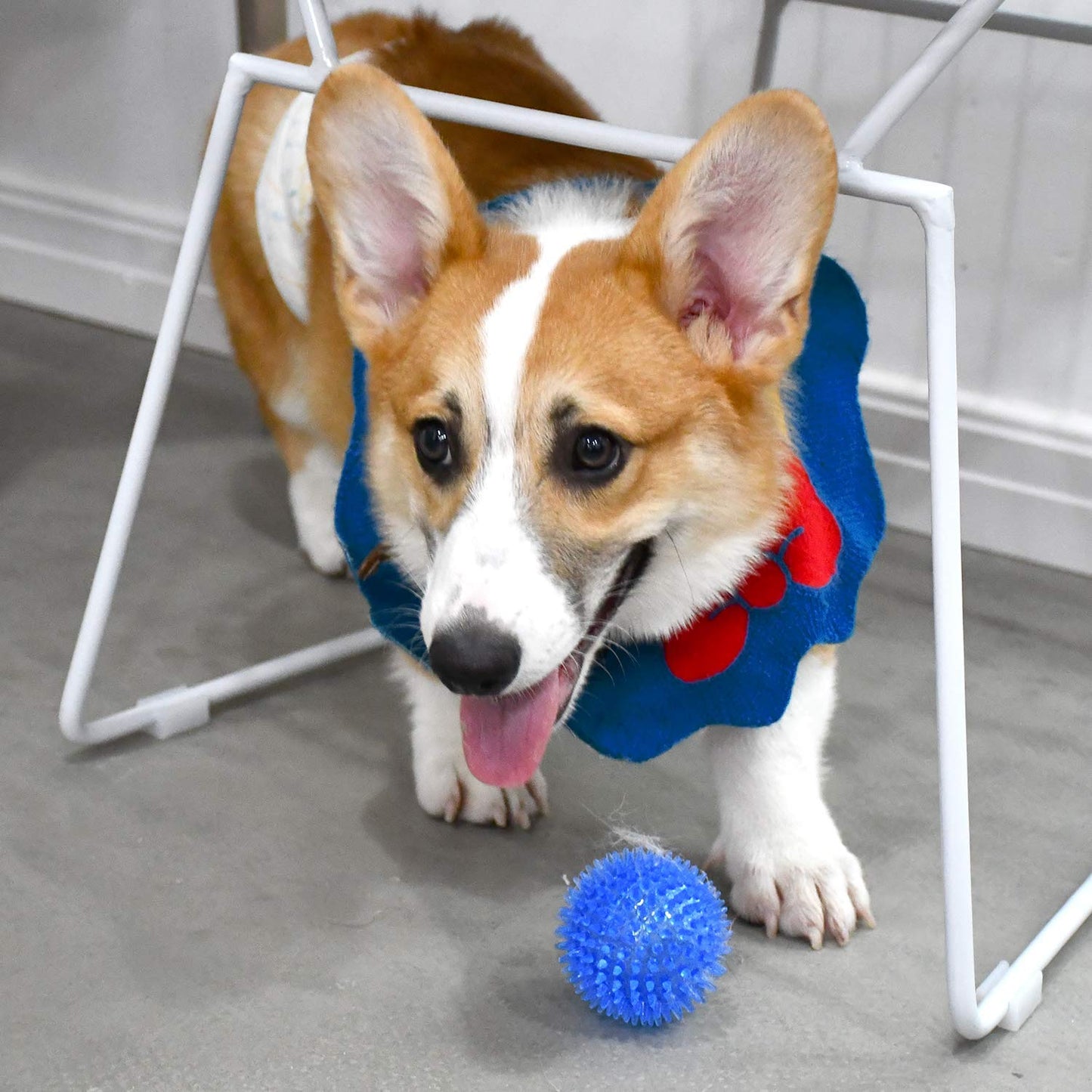 Pelota de Juguete para Perros Pequeños y Medianos Resistente a Mordeduras de Pelota Puntiaguda Azul