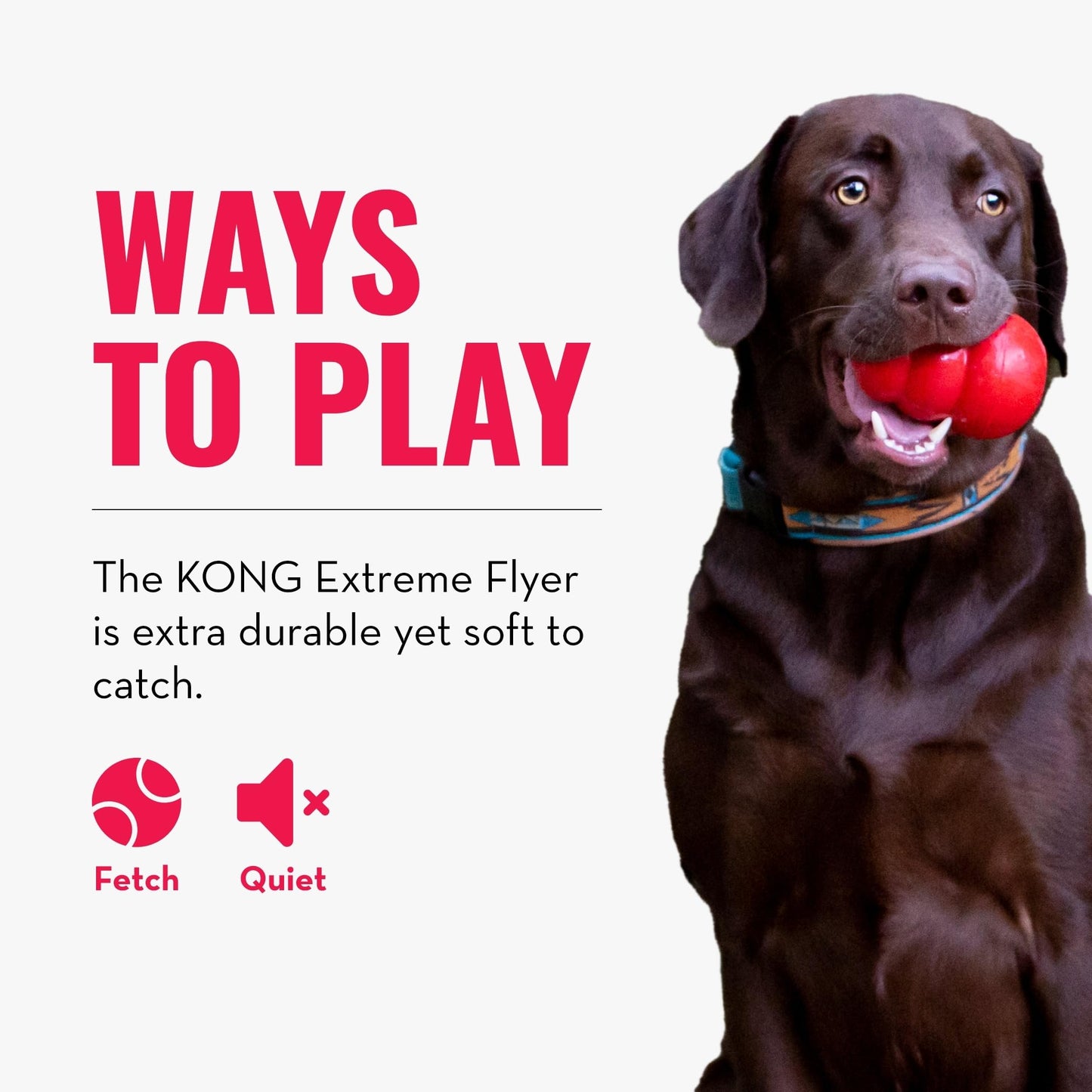 Kong Extreme Flyer Disco de Goma para Perro, Grande, Negro