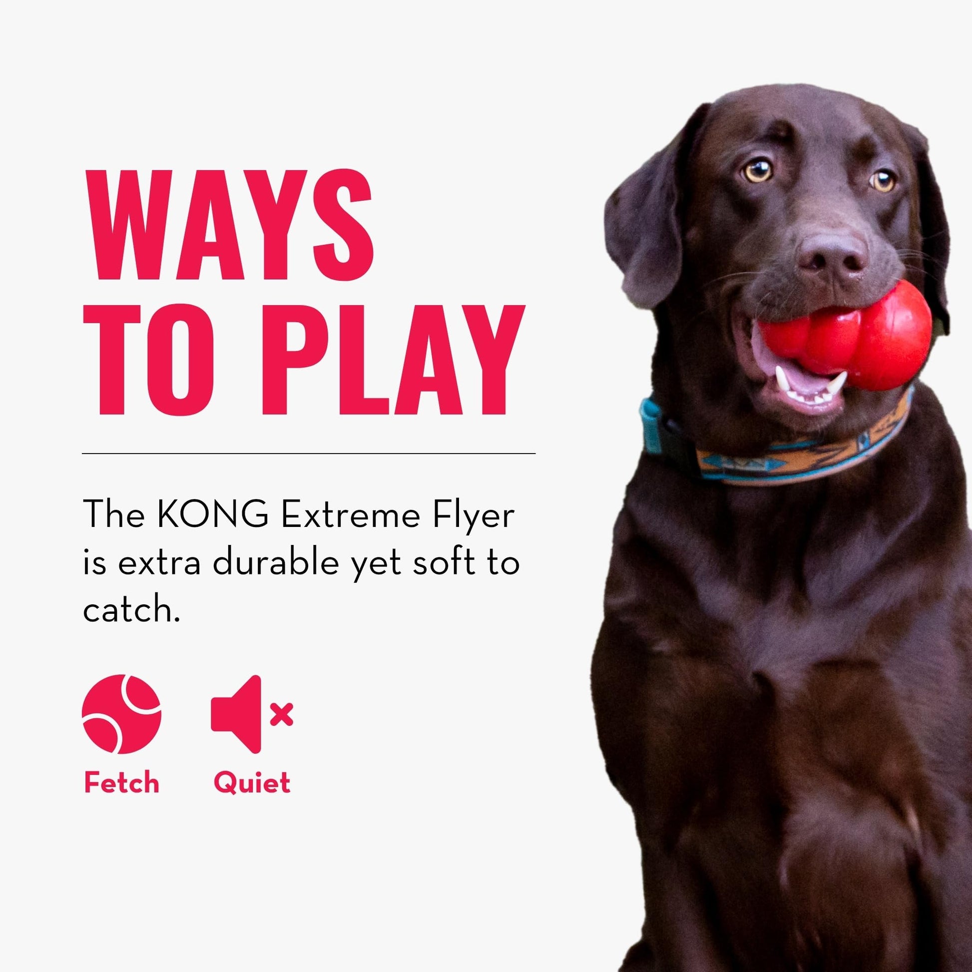 Kong Extreme Flyer Disco de Goma para Perro, Grande, Negro