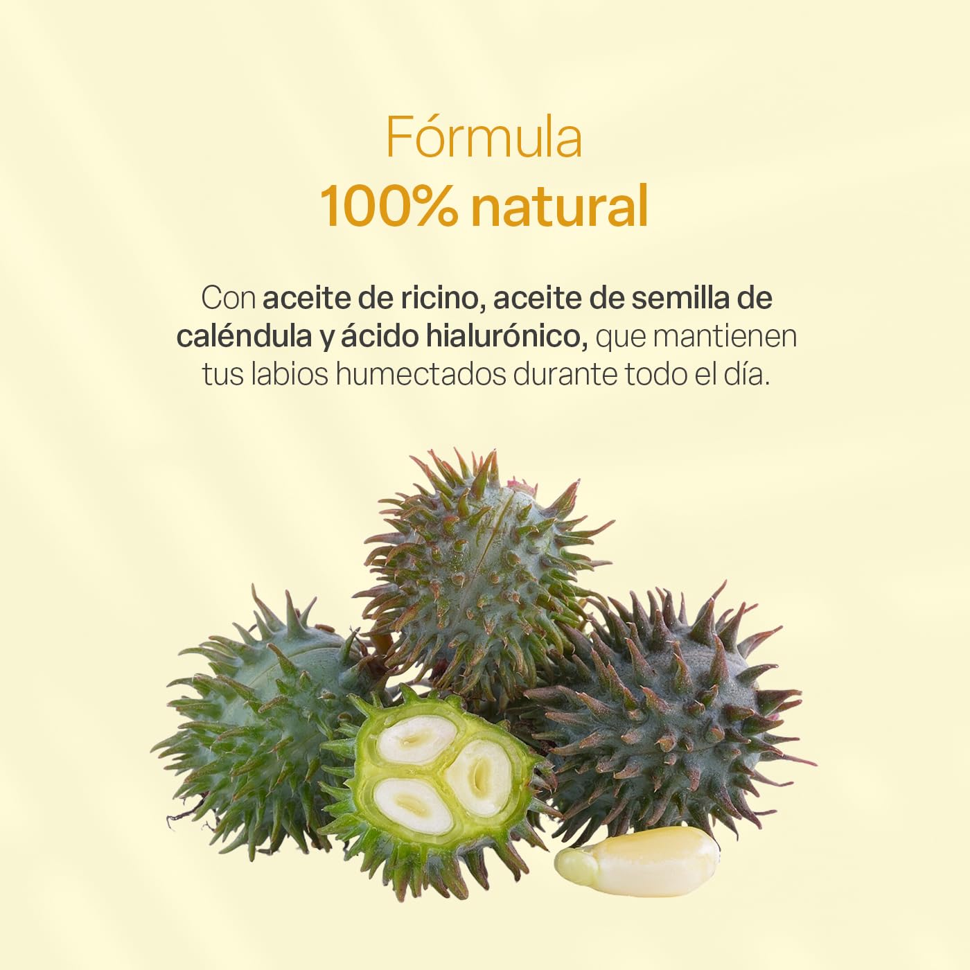 Bálsamo Labial TEIA COSMETICOS Ingredientes Naturales Humectante y Reparador