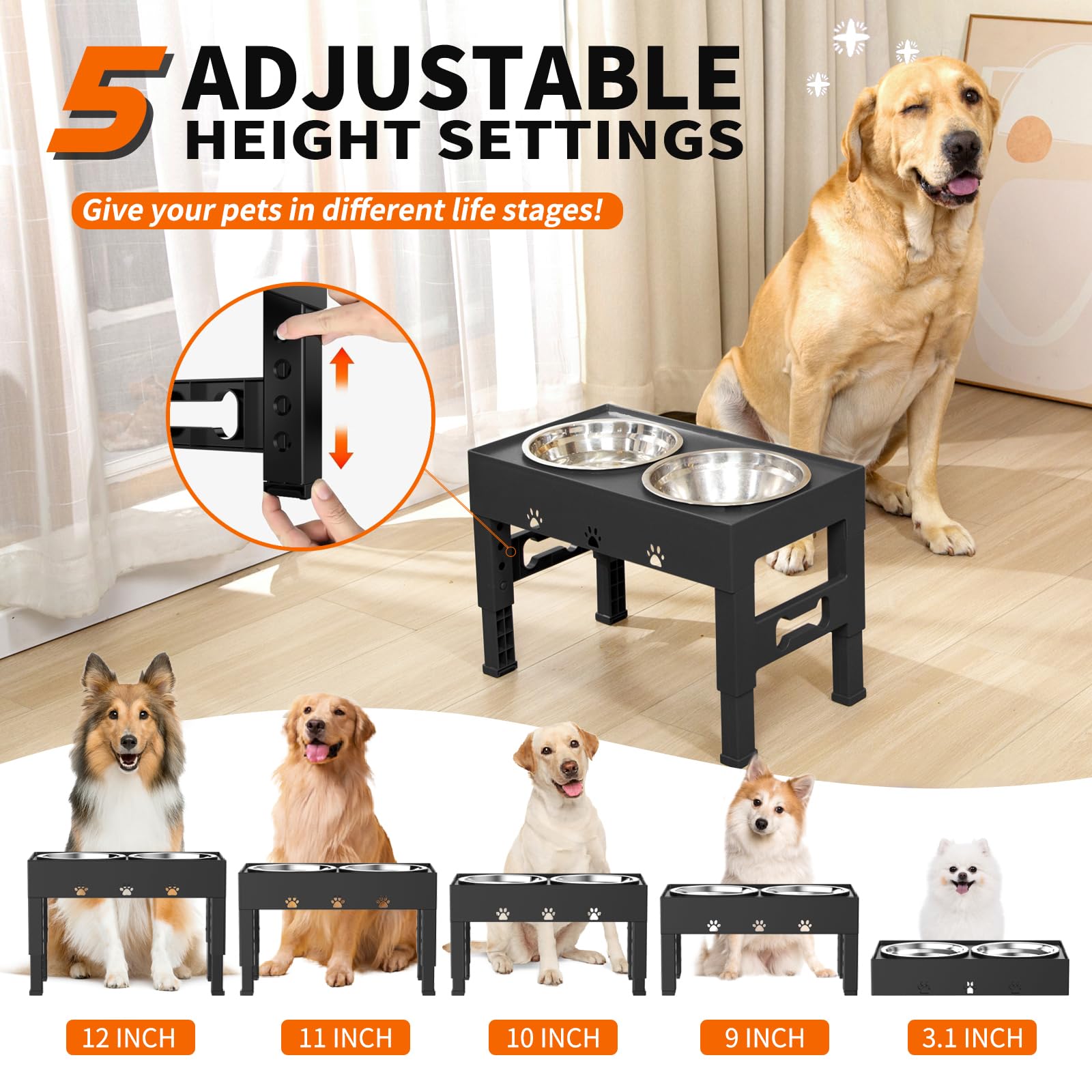 LAKIPETN Cuencos elevados para perros, 5 cuencos elevados de altura ajustable con 2 cuencos de acero inoxidable para comida para perros, antideslizante, sin derrames, se ajusta a 3.1 pulgadas, 9 pulgadas, 10 pulgadas, 11 pulgadas, 12 pulgadas para perros