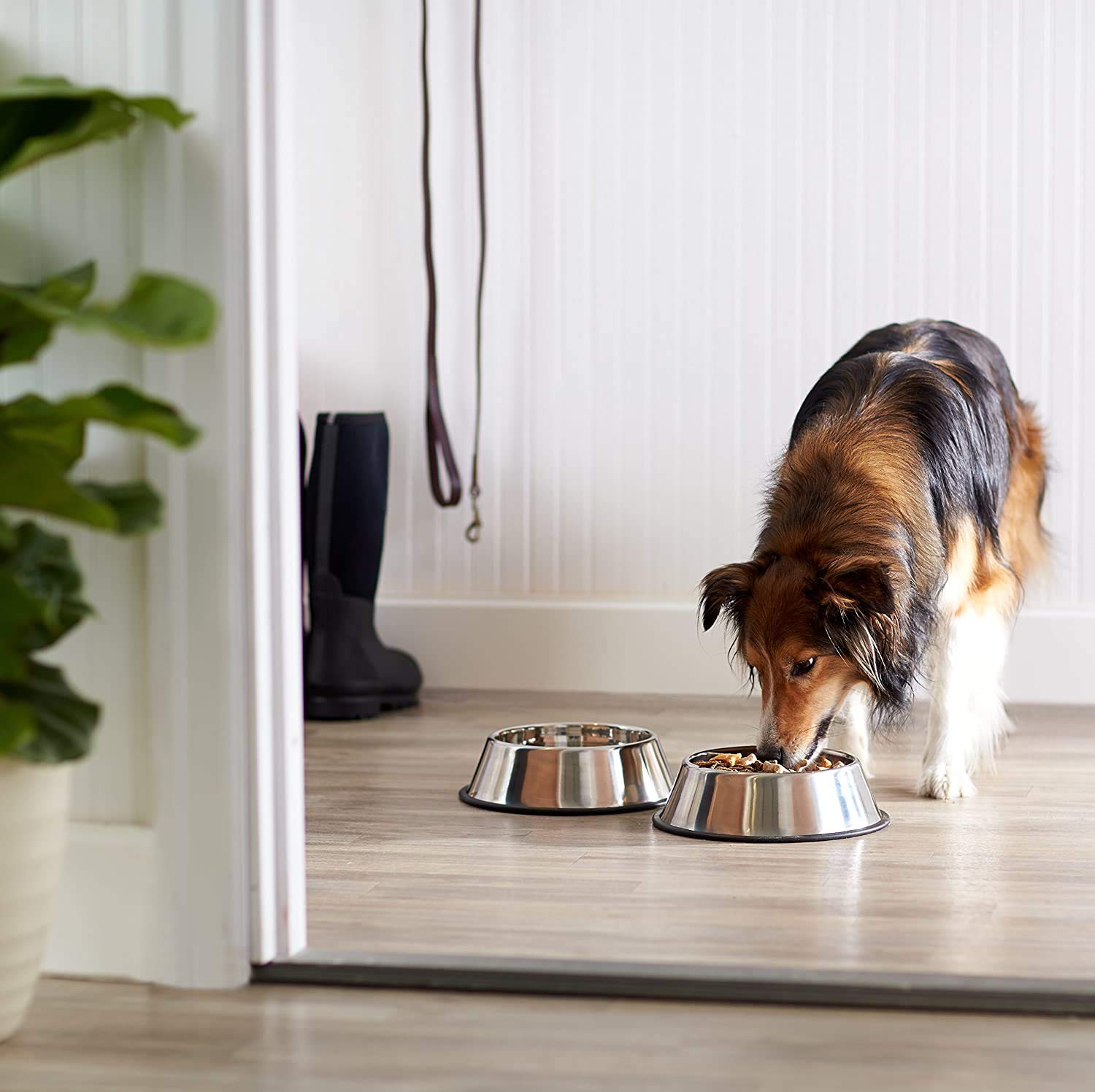 Platos para Alimento y Agua Wolfi para Perro Grande Set de Dos Tazones