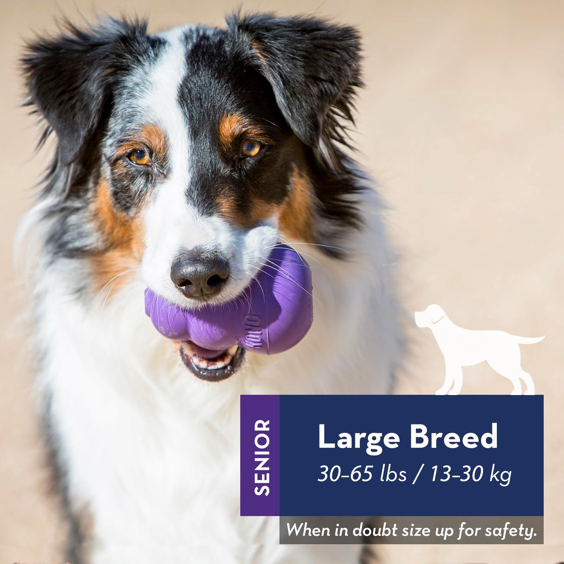 Kong Senior Dog Toy, Large, Purple