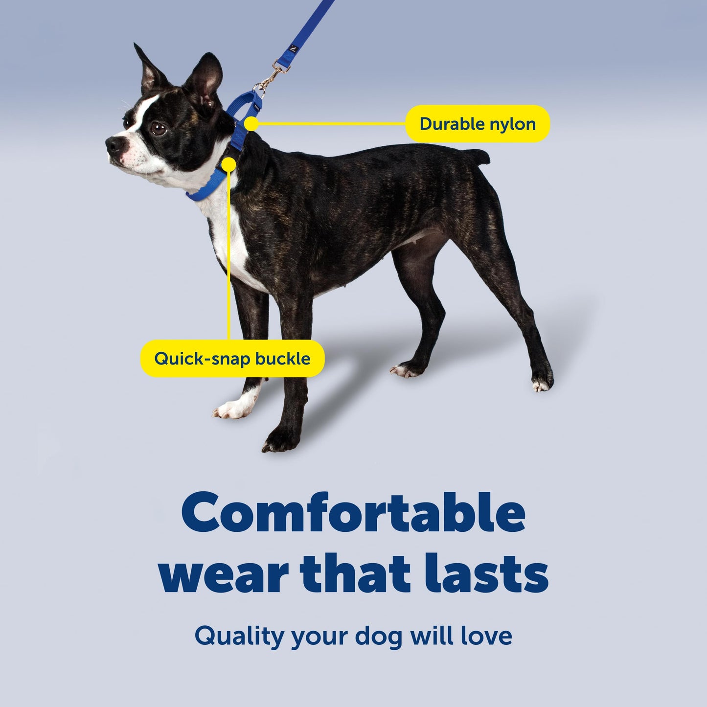 PetSafe Martingale Collar con Hebilla de Cierre rápido, 1 Pulgada, Grande, Azul Real