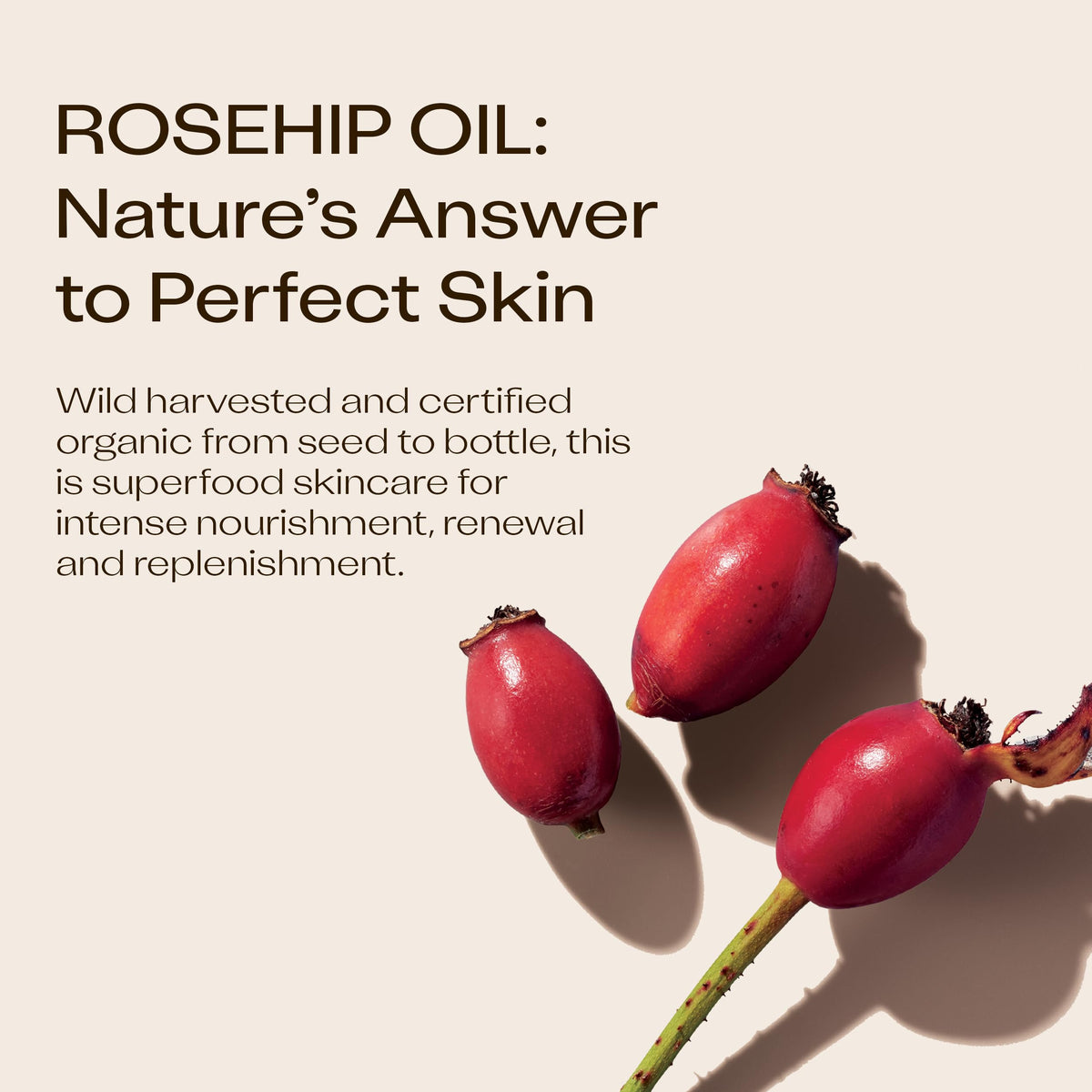 Trilogy Certified Organic Rosehip Oil Unisex, 1.52 Ounces