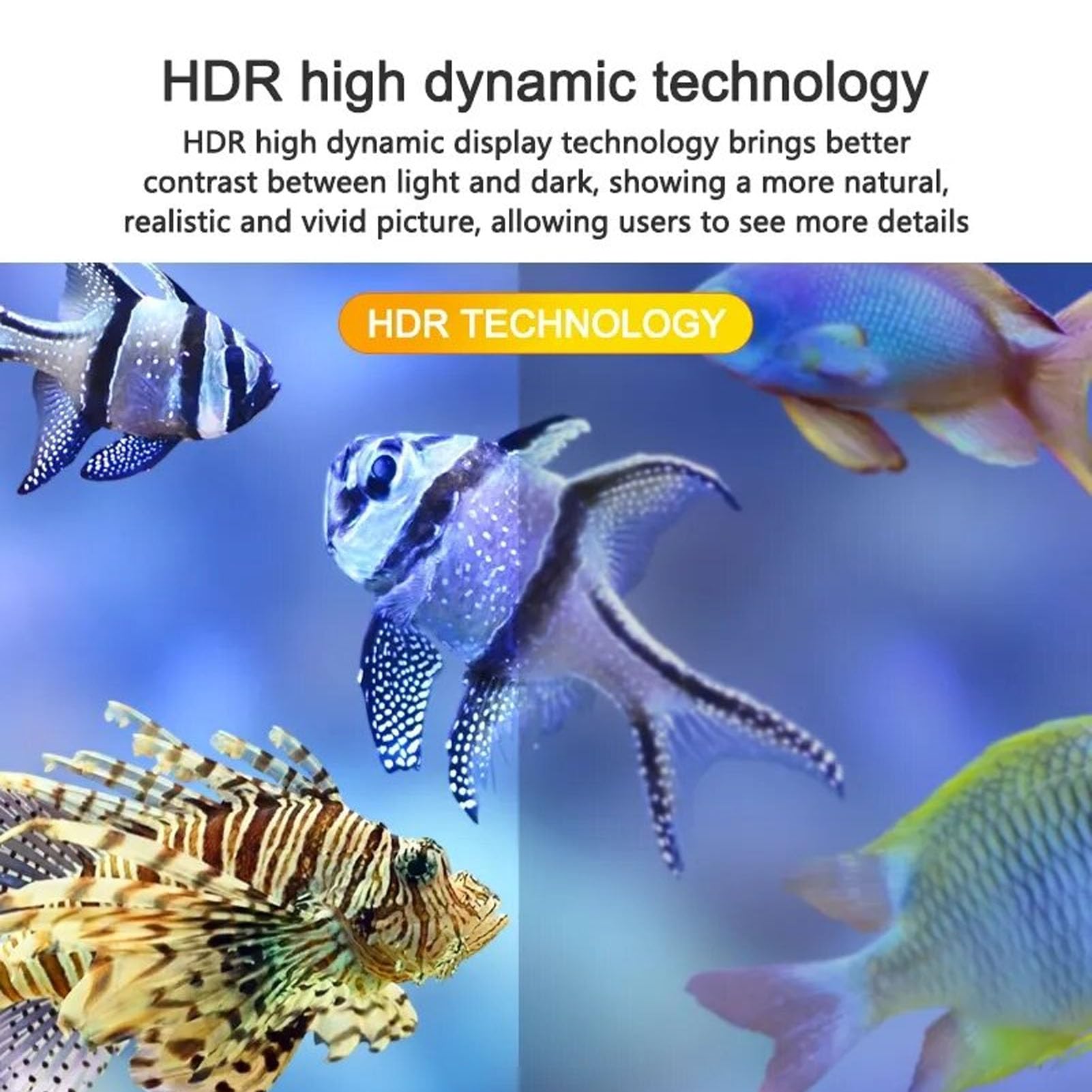 Mini Proyector LED Portátil WiFi Full HD 1080P para Cine en Casa y Viajes Al Aire Libre de 24 a 60 Pulgadas