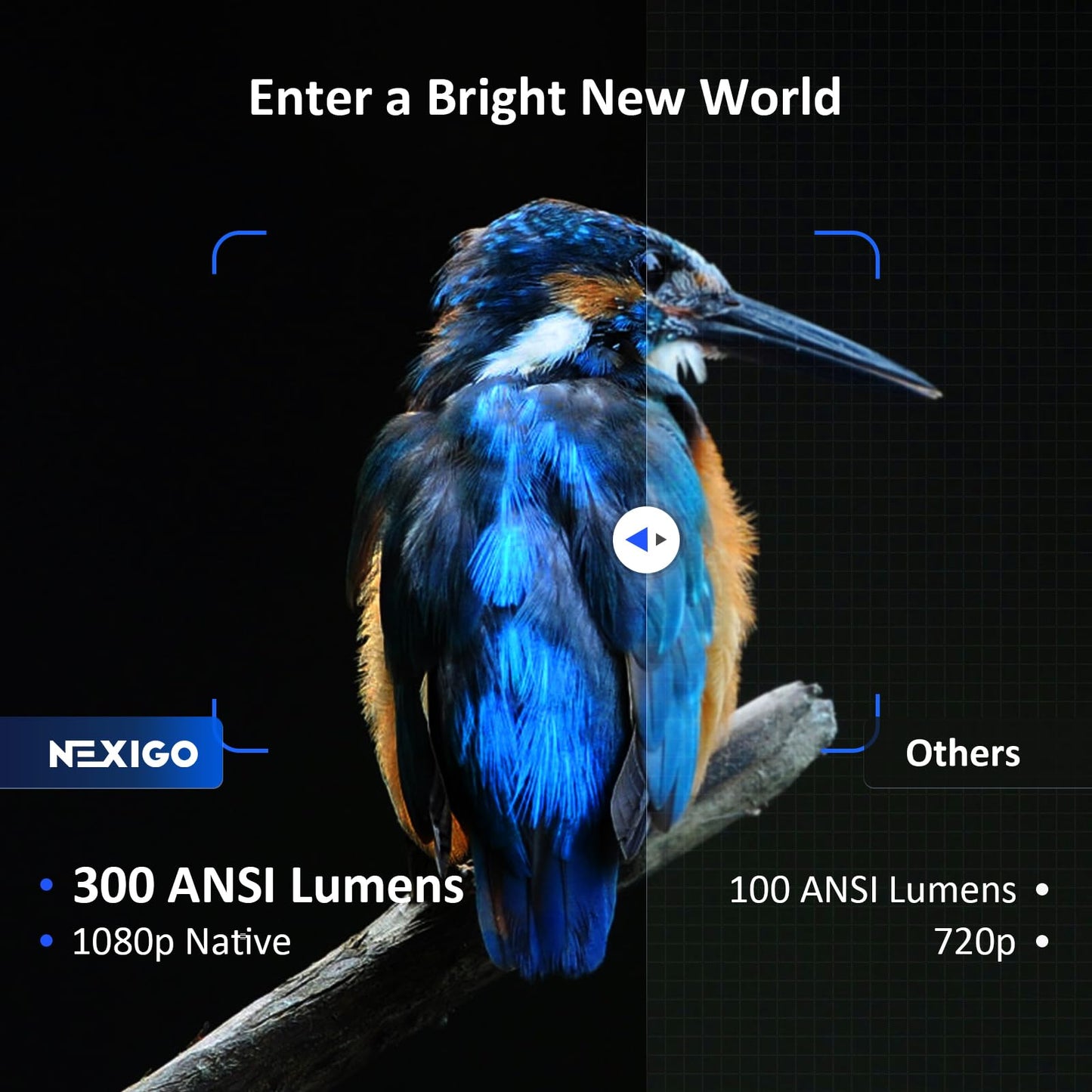 NexiGo - Proyector Bluetooth WiFi PJ10, 300ANSI, proyector de película nativo 1080P, soporte Dolby_Sound, control remoto, compatible con teléfono, computadora, HDMI, USB, interfaces AV