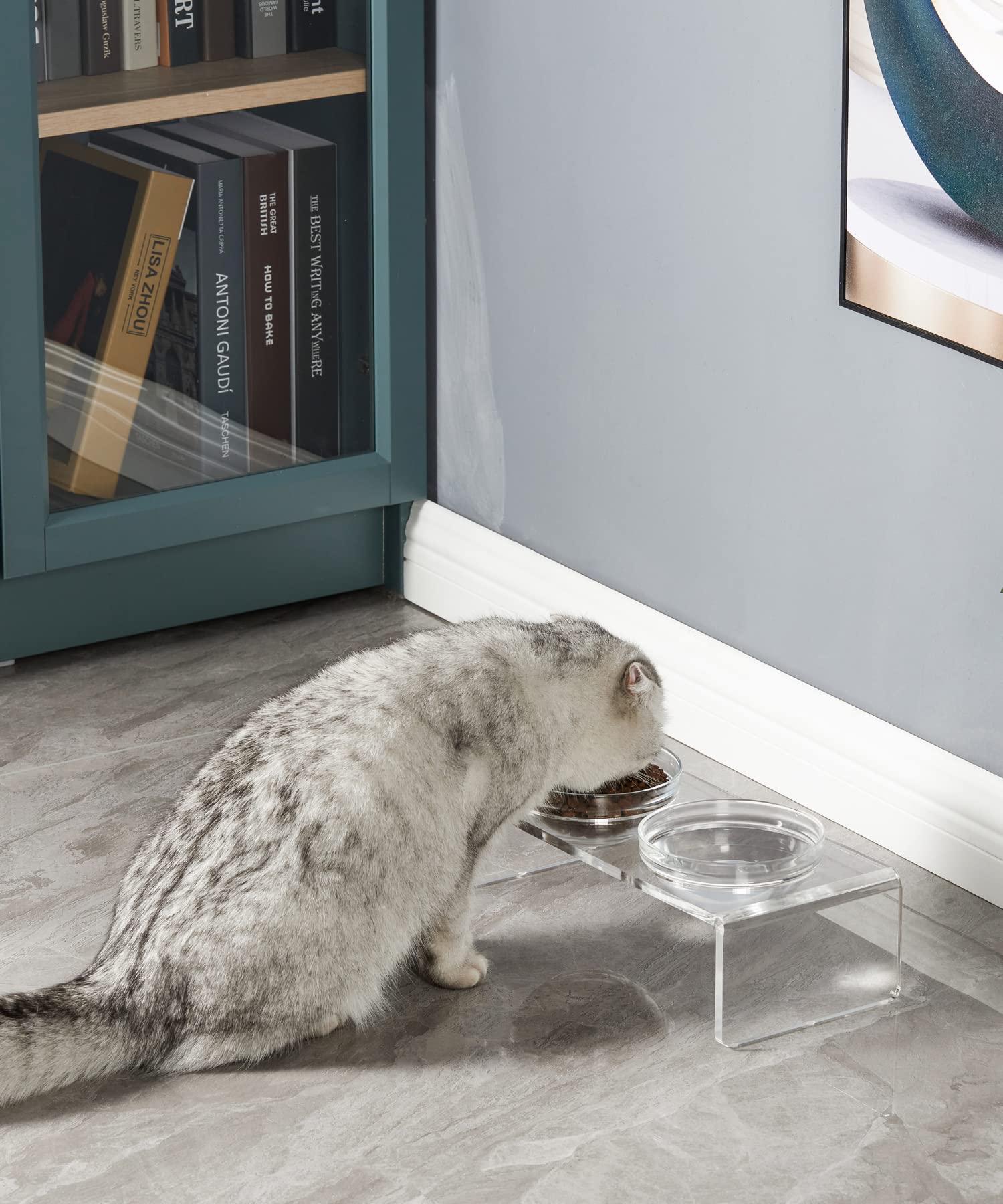 Cuencos elevados de acrílico para perros y gatos, comedero para mascotas, soporte elevado doble viene con 2 cuencos de vidrio extraíbles y 2 cuencos de acero inoxidable. Perfecto para gatos, cachorros y perros pequeños