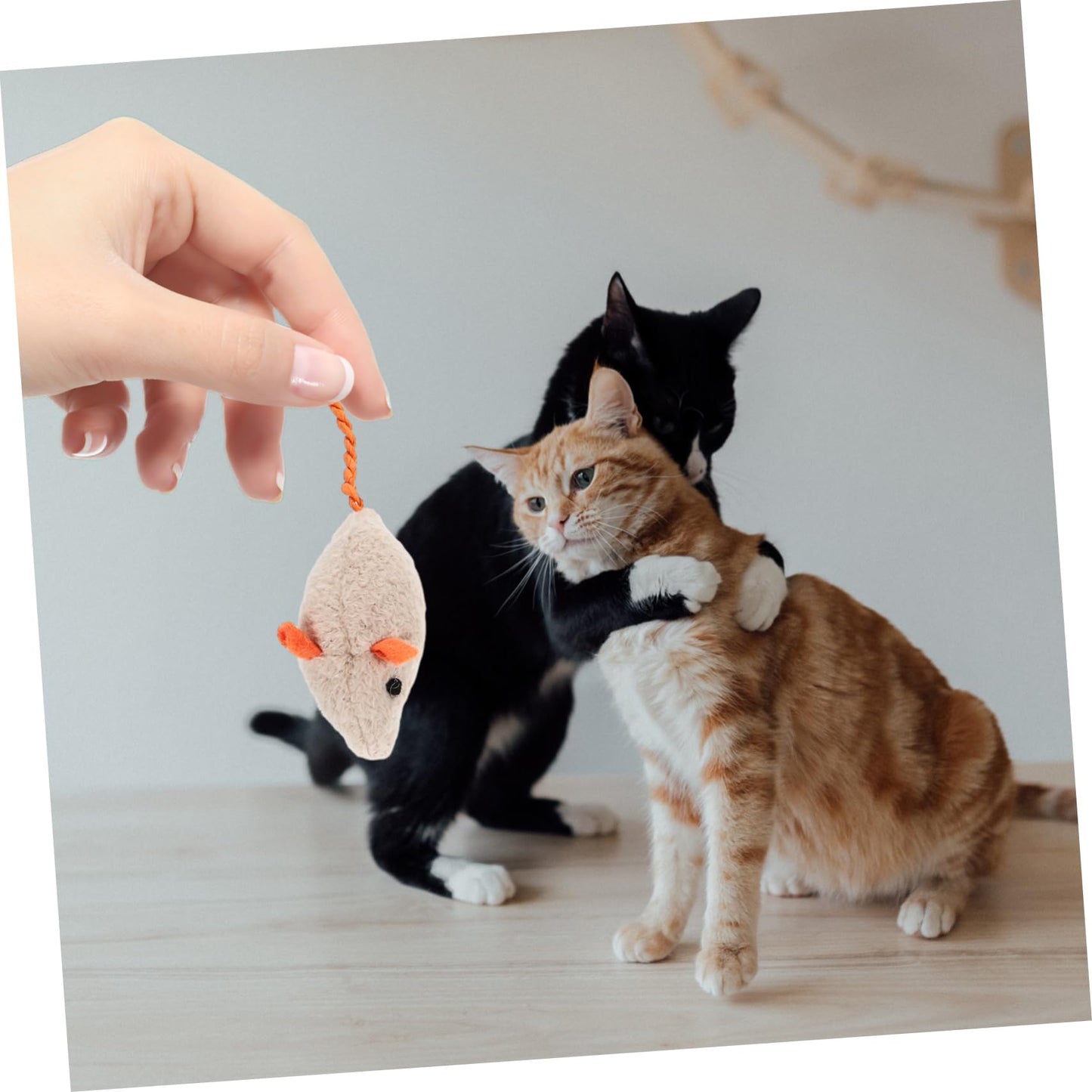Ipetboom 6 Piezas Gato Ratones Juguetes Gato De Peluche De Juguete Gatito Juguete De Burlas Gato Juguetes Ratones Juguete Mordedura De Gatito Gato Divertido Felpa Gato De Interior