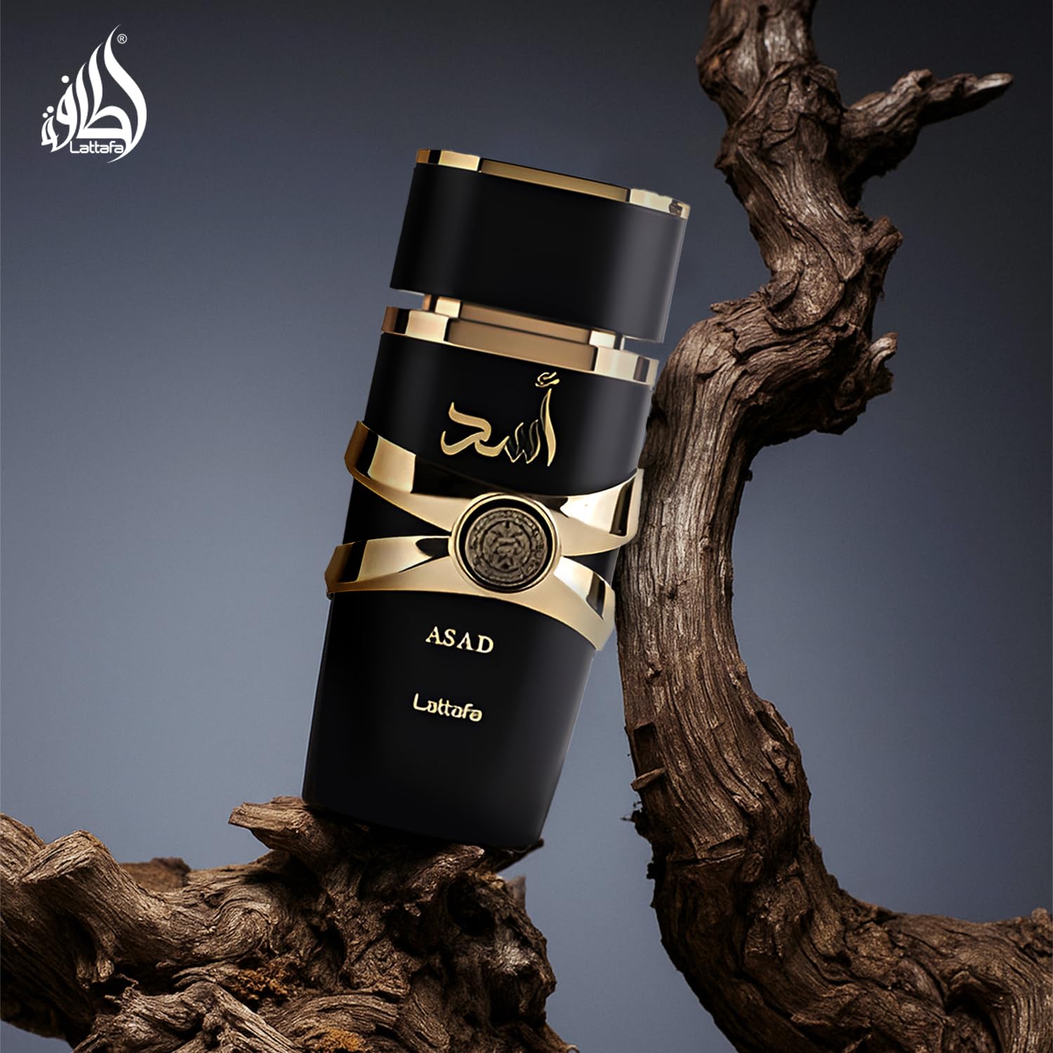 Lattafa Asad Eau de Parfum Spray for Men, 3.4 Ounce