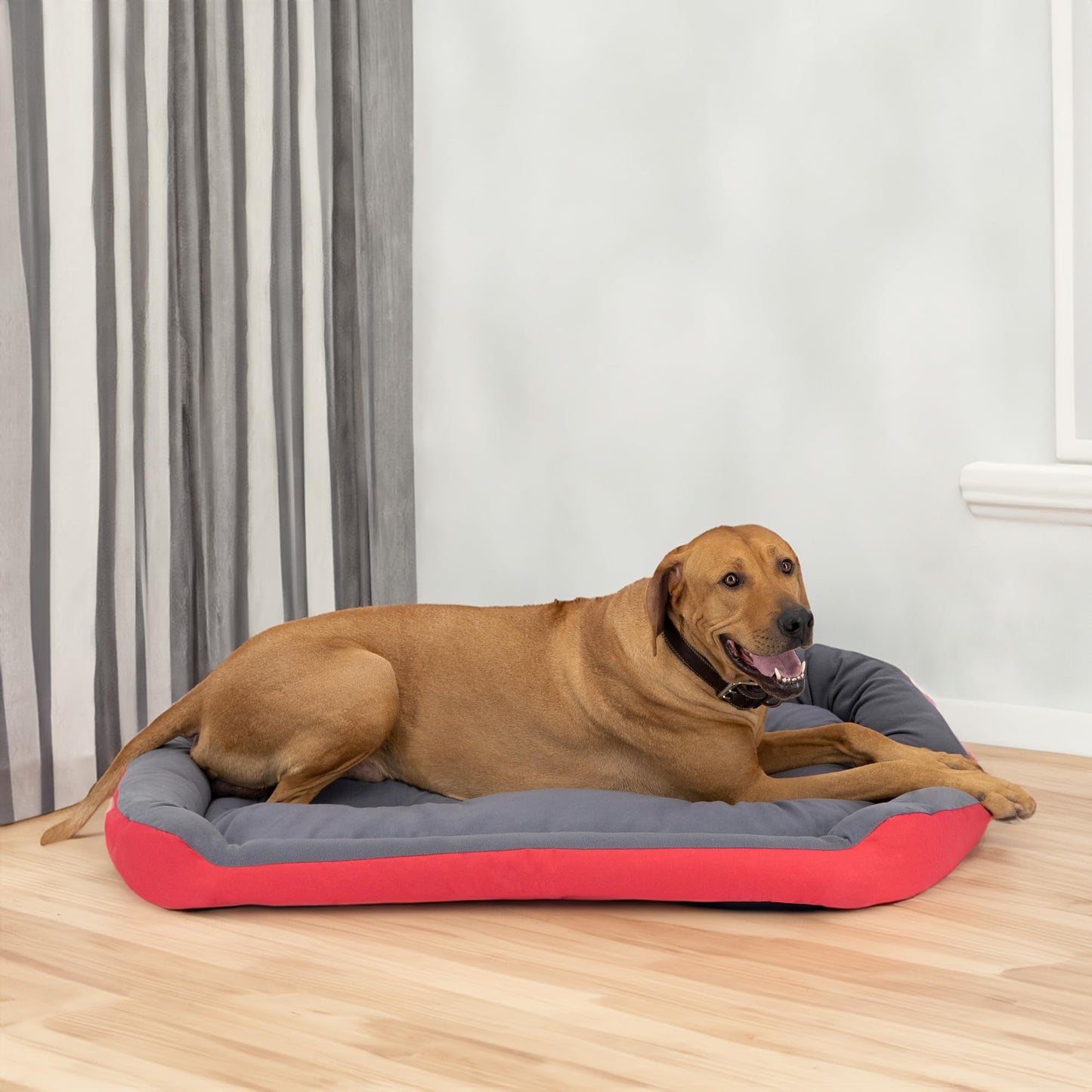 Cama para Perro Hills Rojo Gris Resistente y Confortable XX-Large